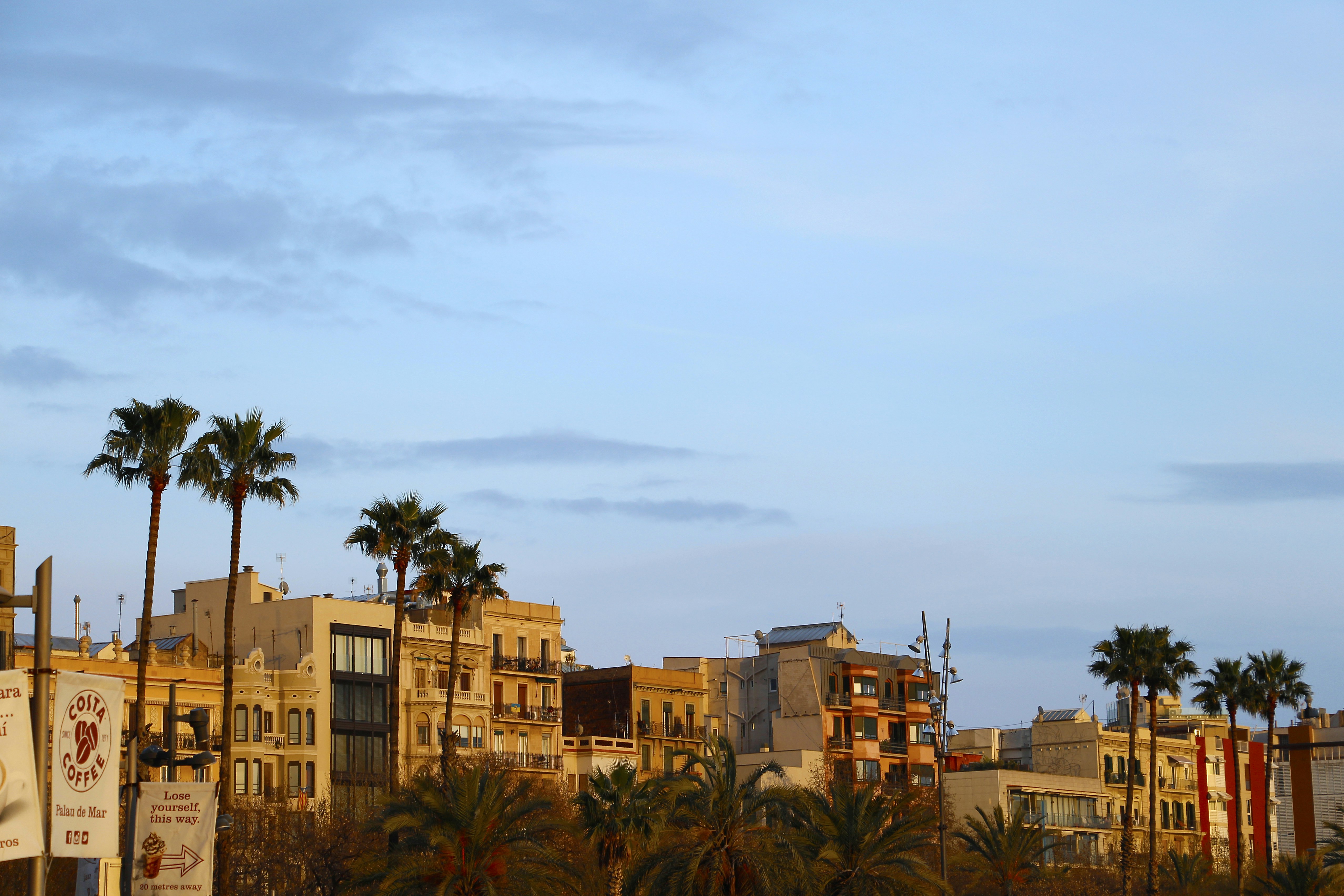 Containers in Del Mar, CA