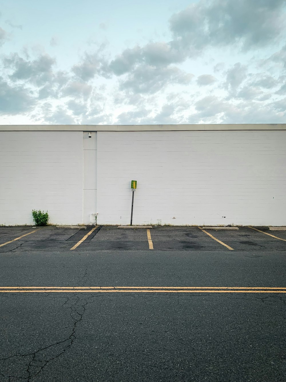 Porte de garage blanche près des plantes vertes