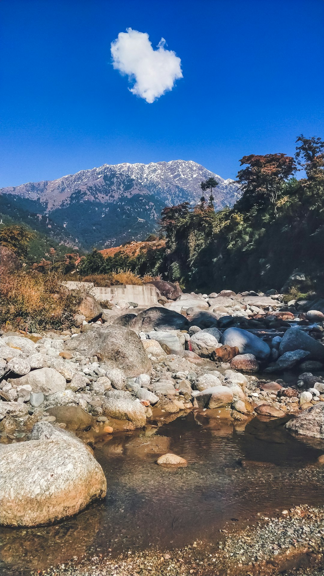 Nature reserve photo spot Himachal Pradesh Kotgarh