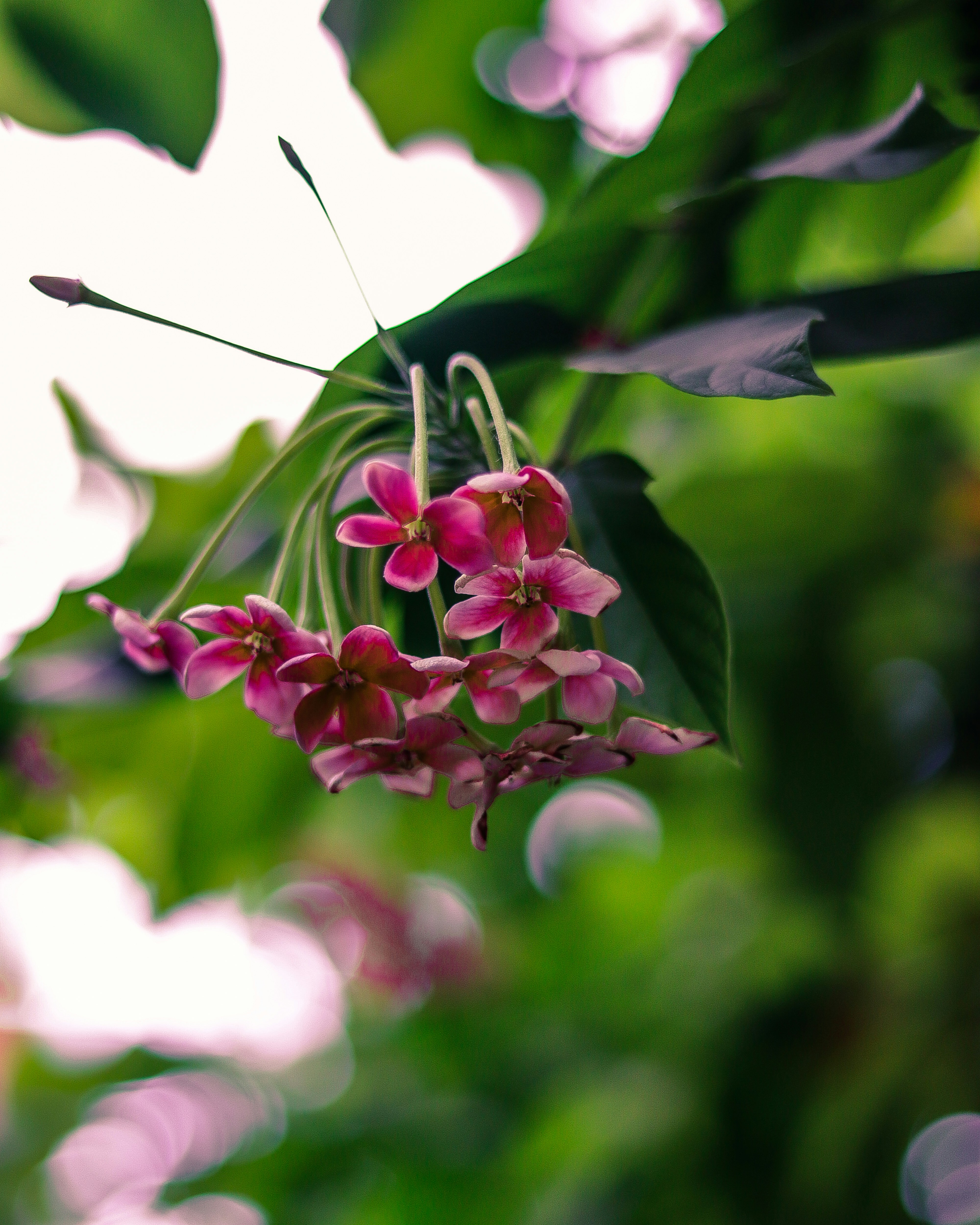 Photo by adeelshabir