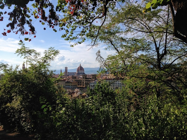 Peaceful view of Legnica’s city skyline beneath a clear blue sky