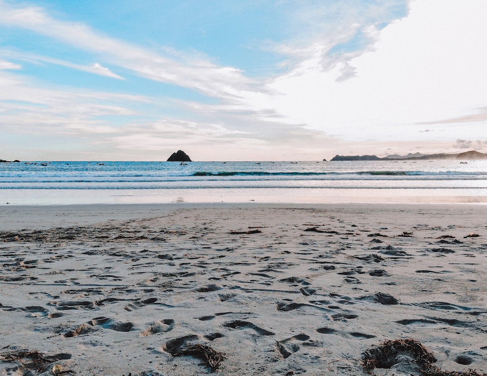 brown sand beach during daytime