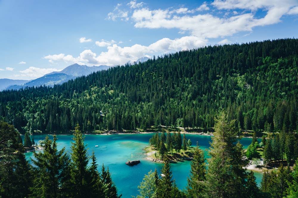 green lake surrounded by green trees under blue sky and white clouds during daytime