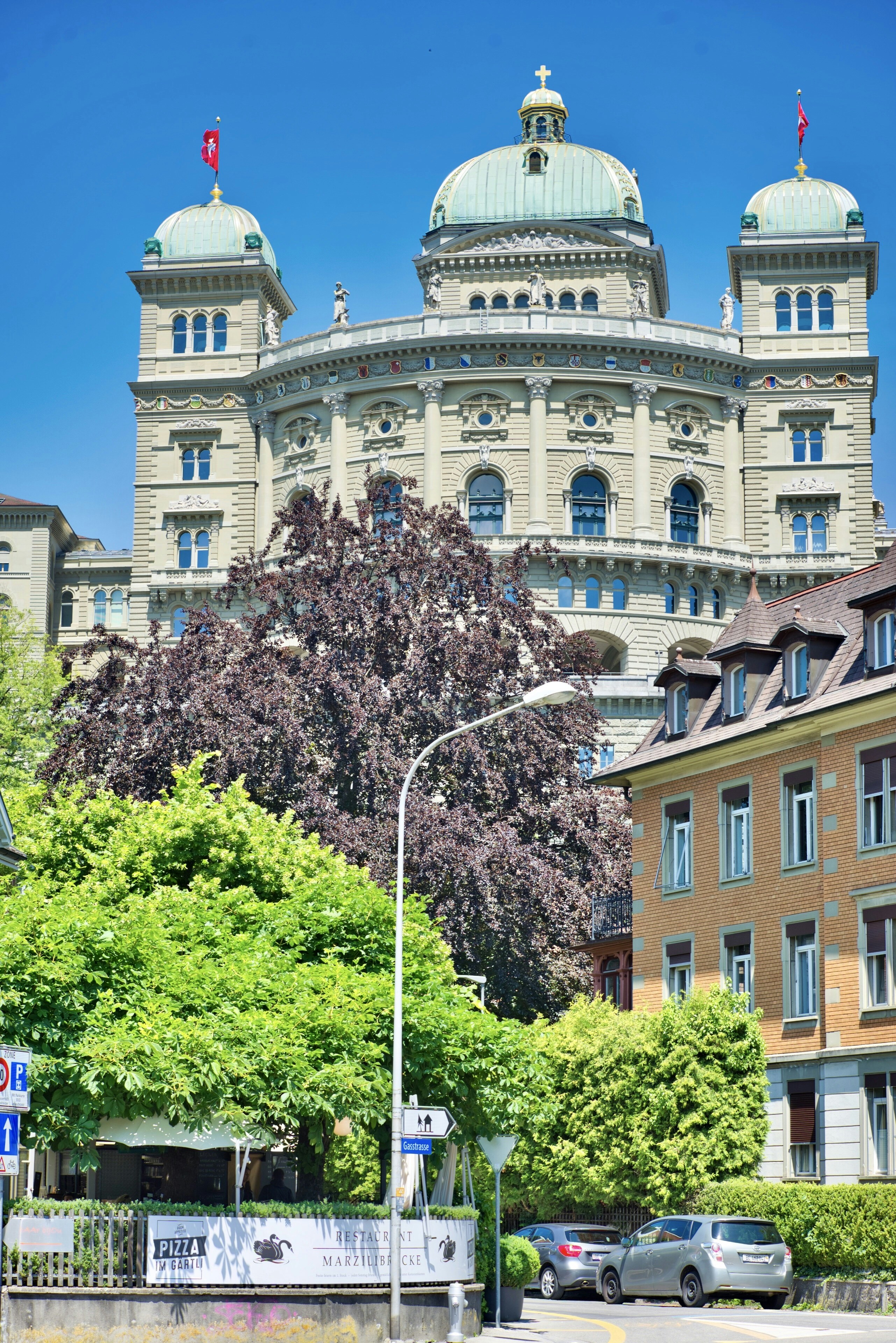 green tree near brown concrete building during daytime