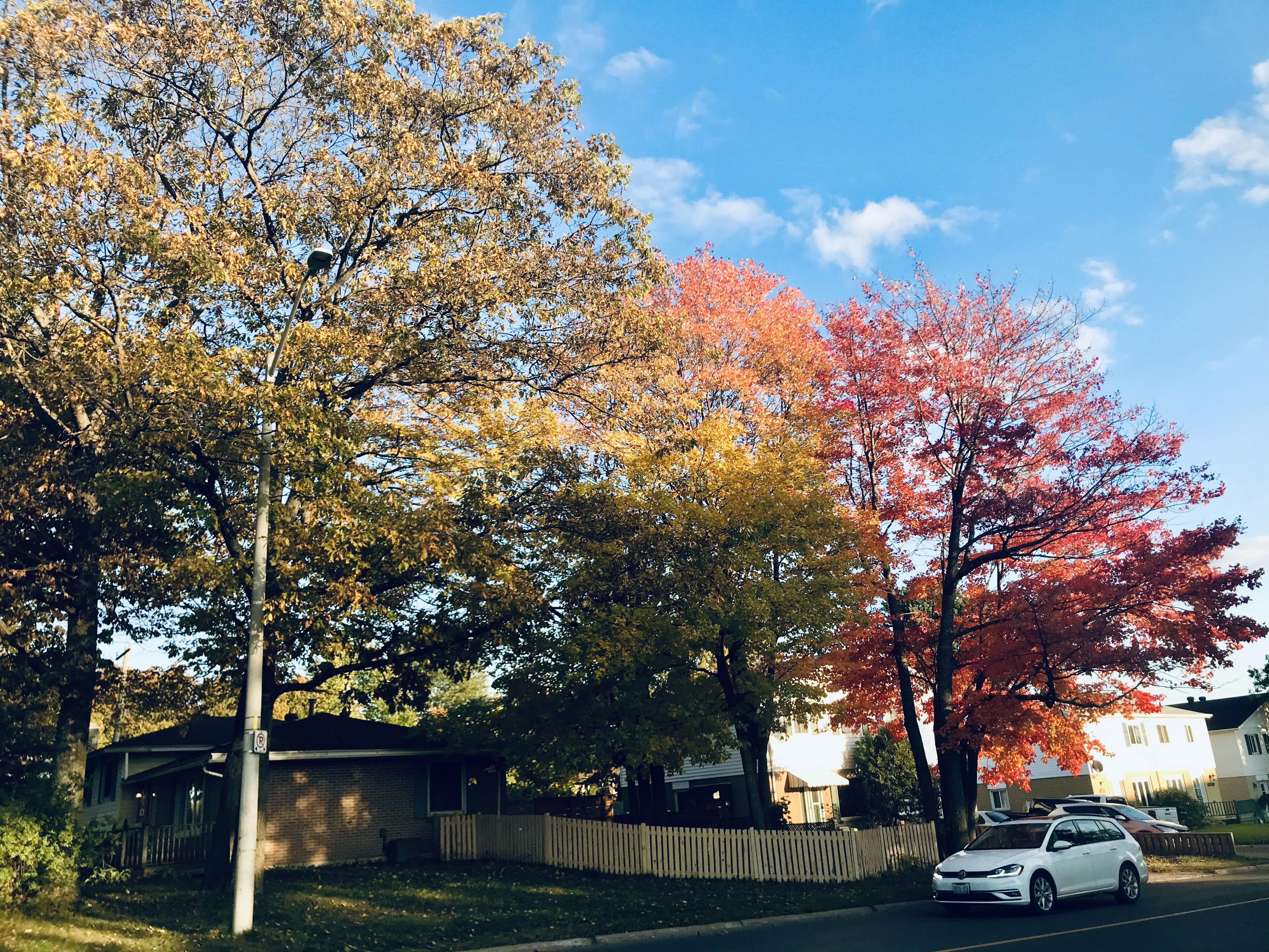 Photo by bunnyforever