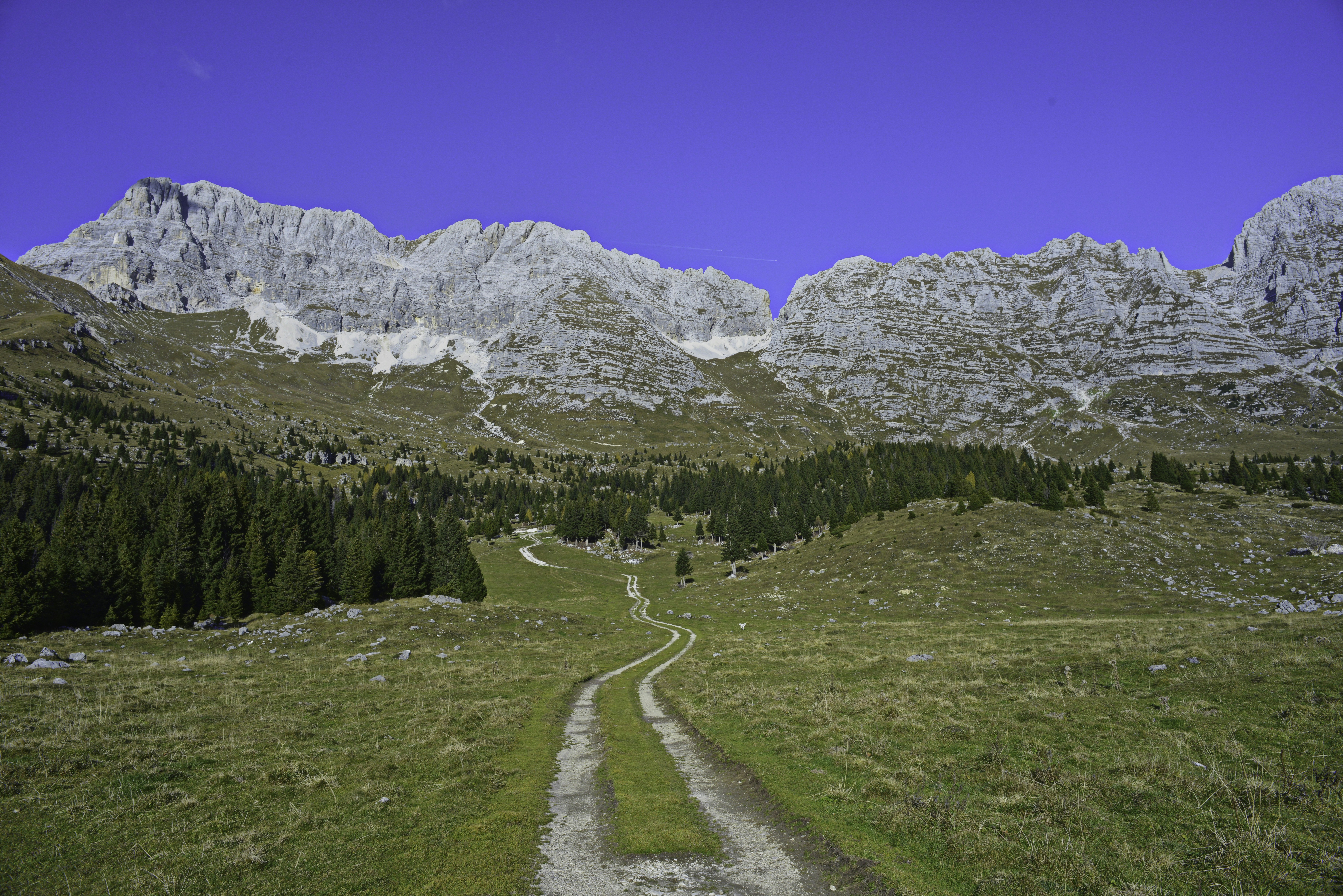 Photo by stefano_zocca