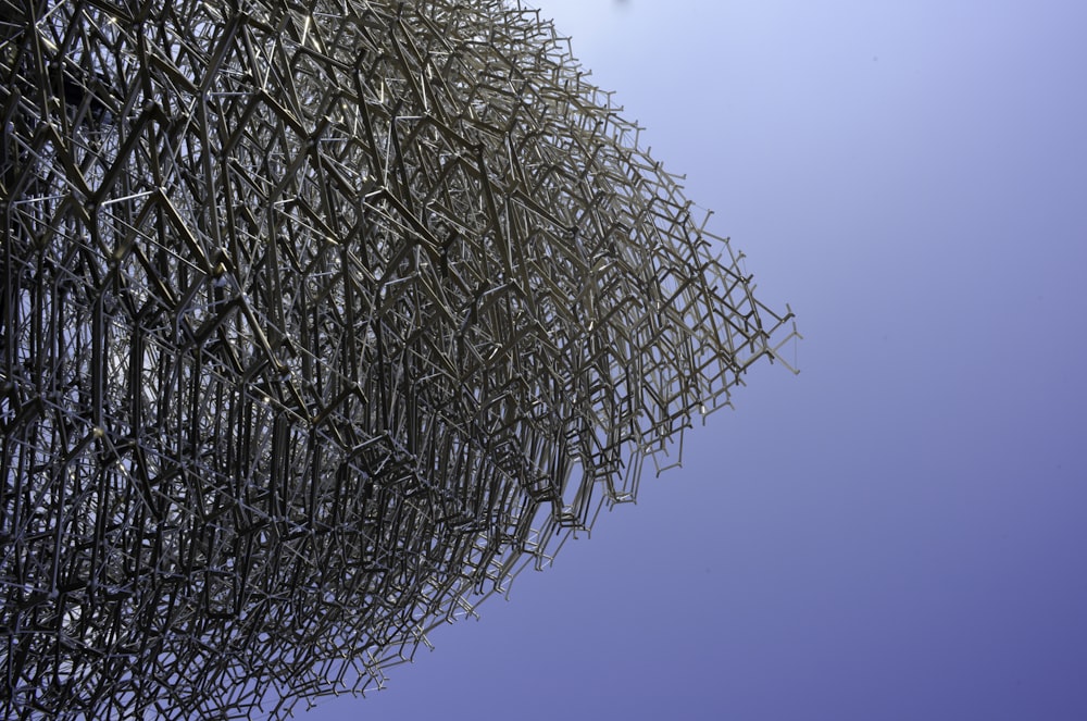 black metal chain link fence under blue sky during daytime