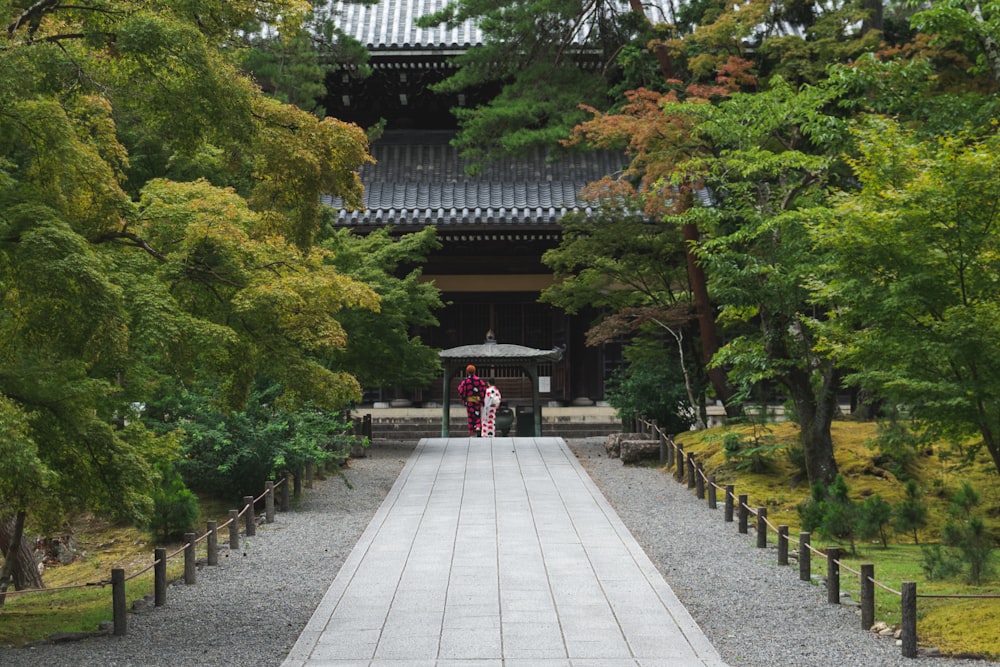 people walking on gray concrete pathway near green trees during daytime