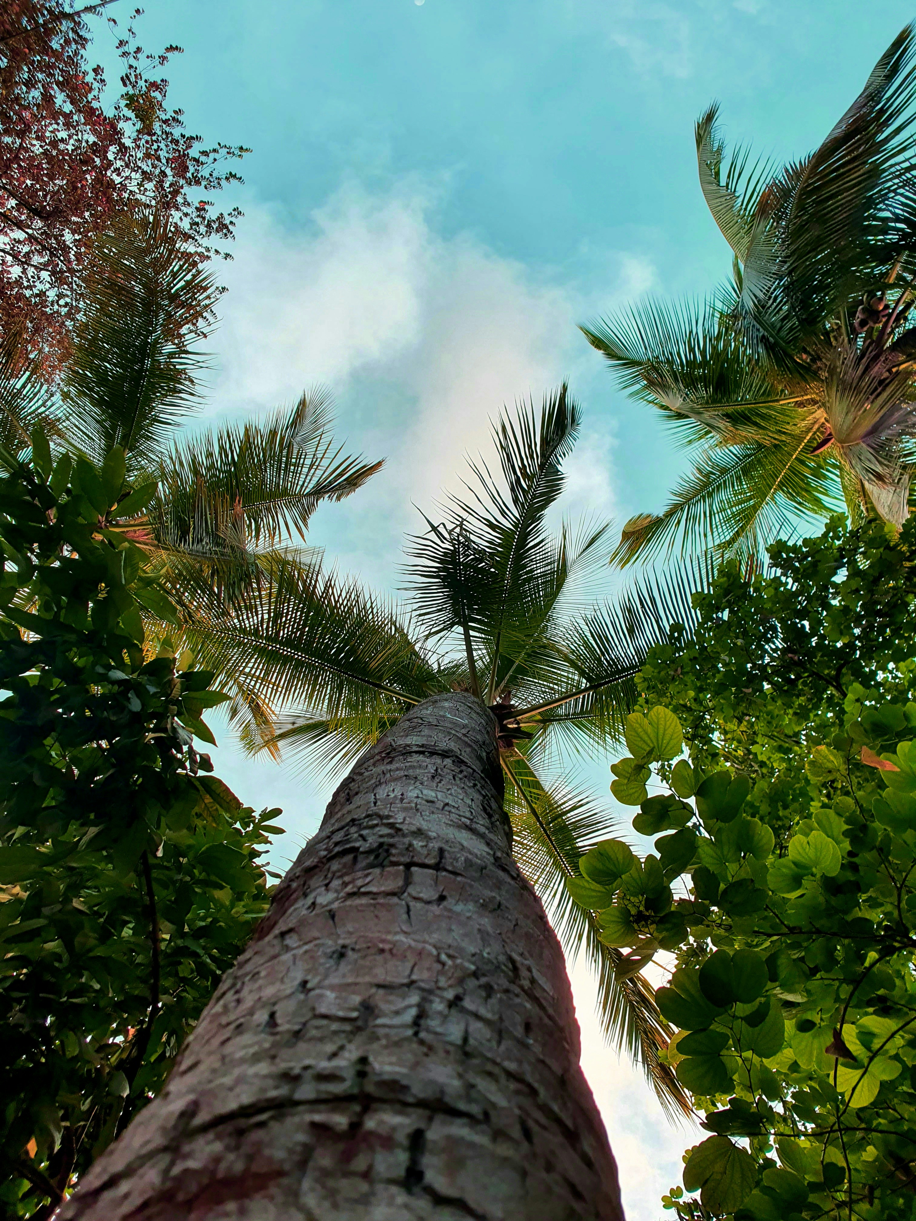 Photo by kerala