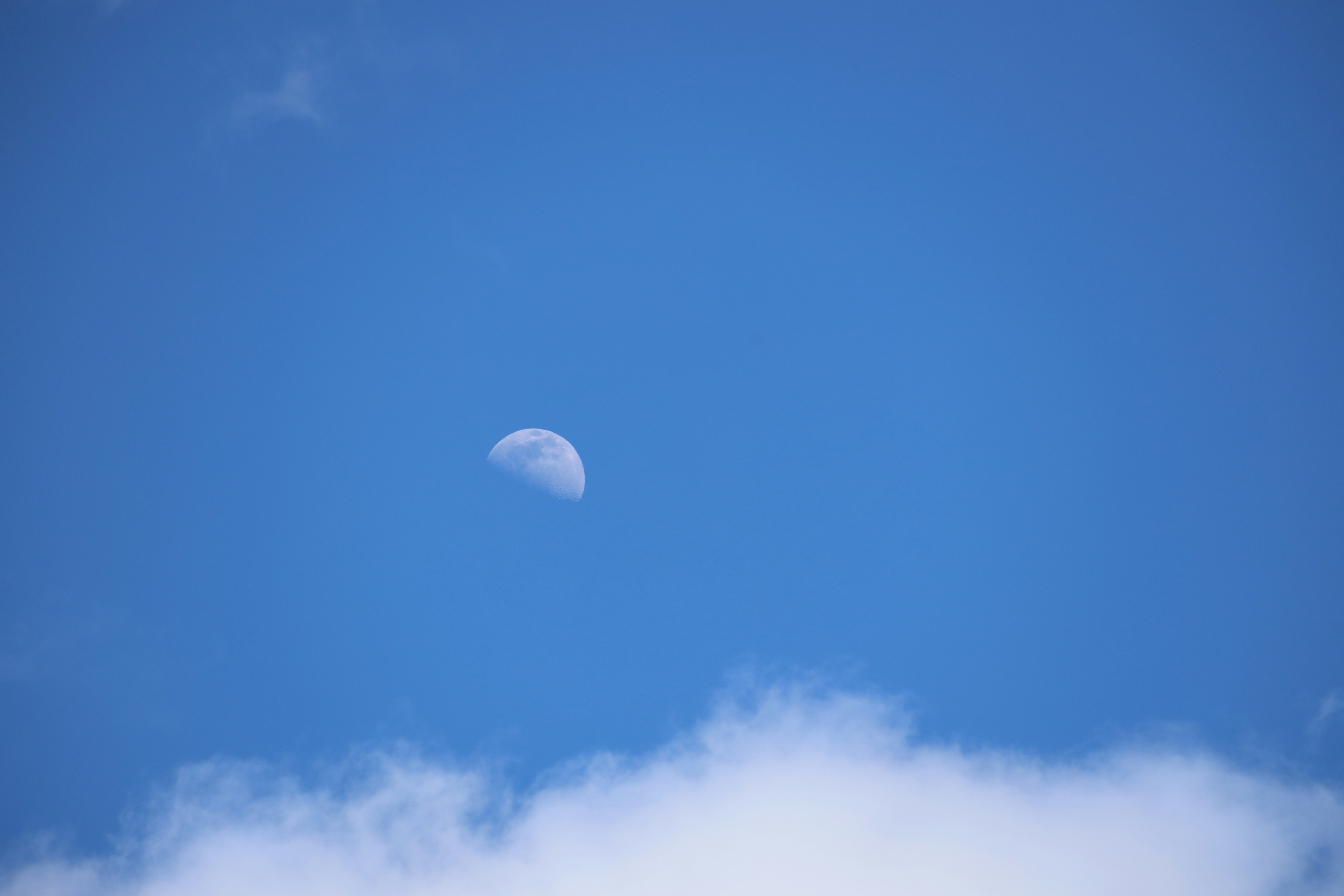 Photo by richardworks