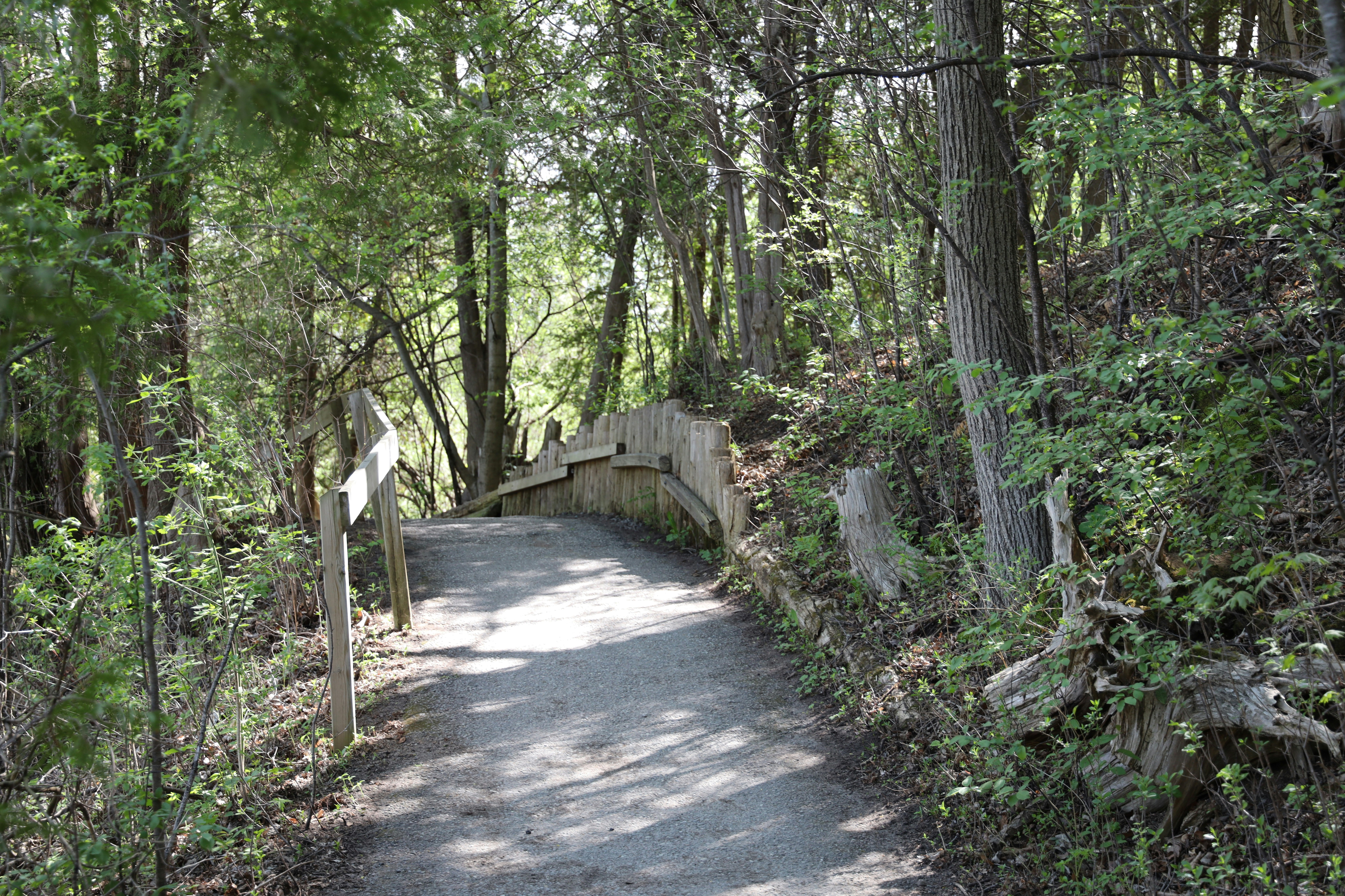 Photo by richardworks