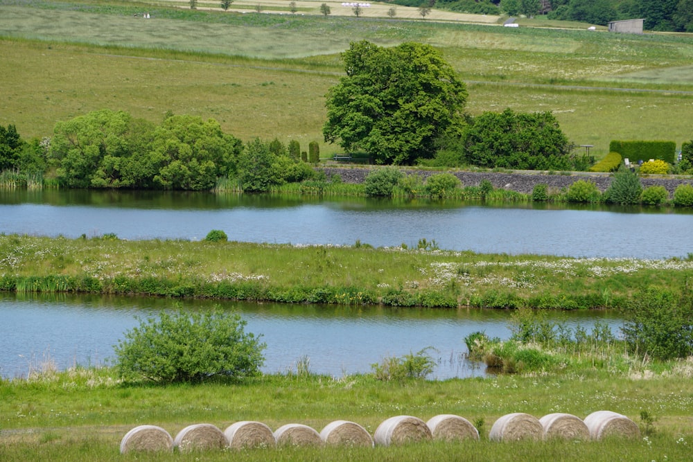 green grass field near body of water during daytime