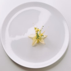 yellow flower on white round plate