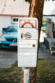 Processing Fees