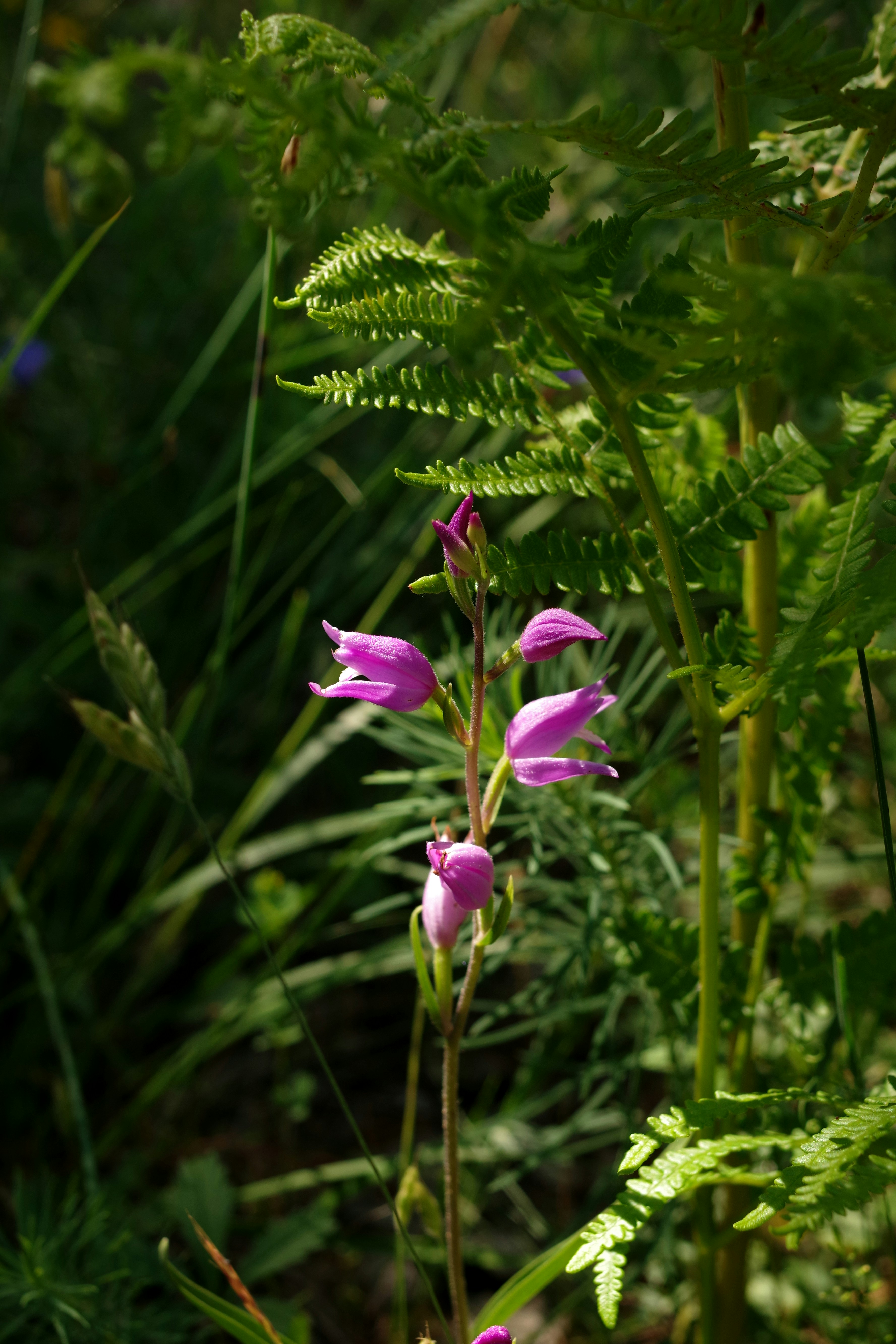 Photo by icimarseille