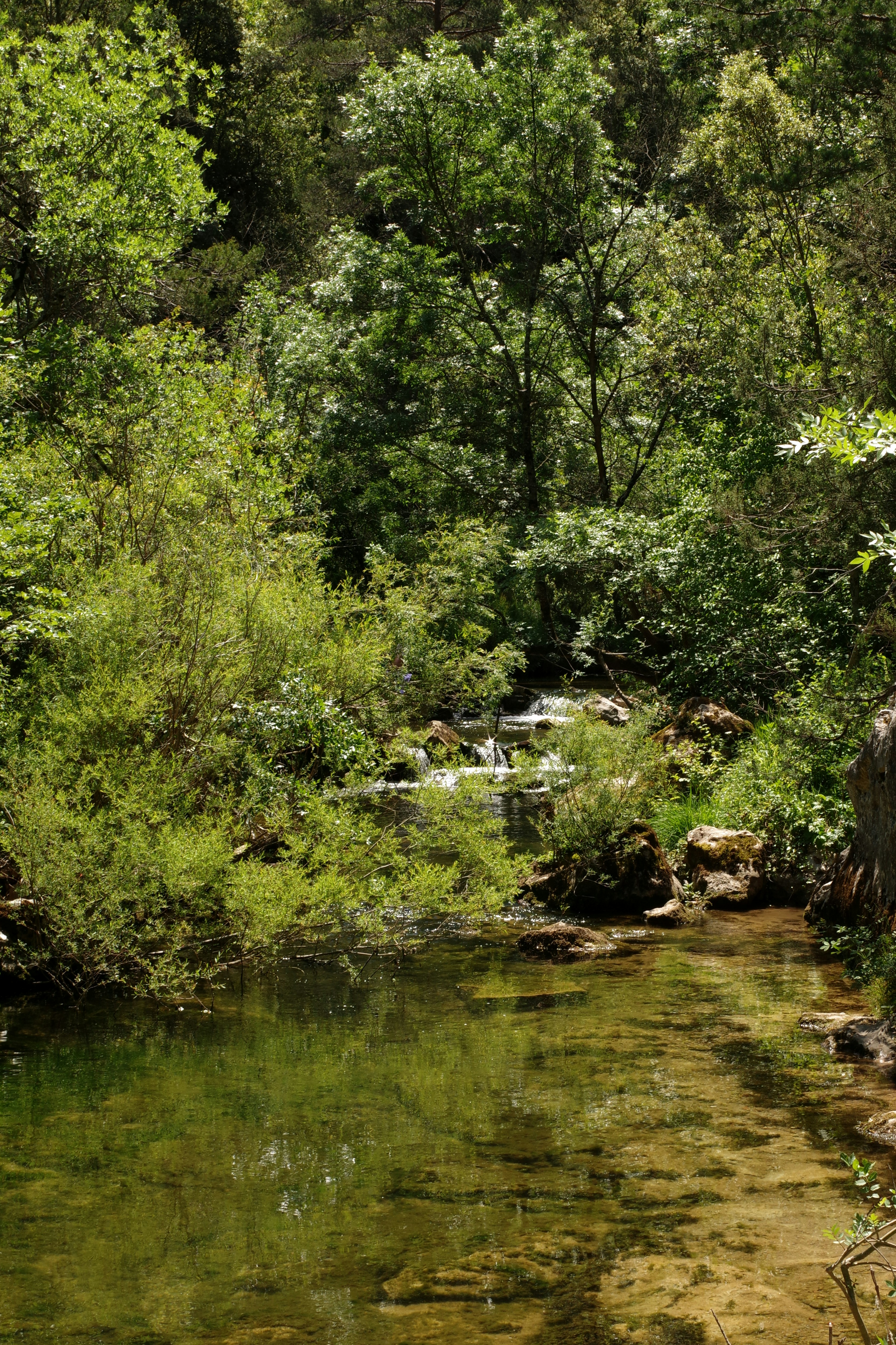 creek