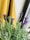 purple flower beside yellow textile