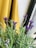 purple flower beside yellow textile