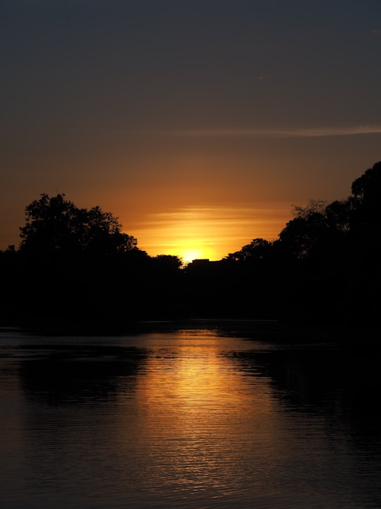 silhouette of trees near body of water during sunset in Vincennes France