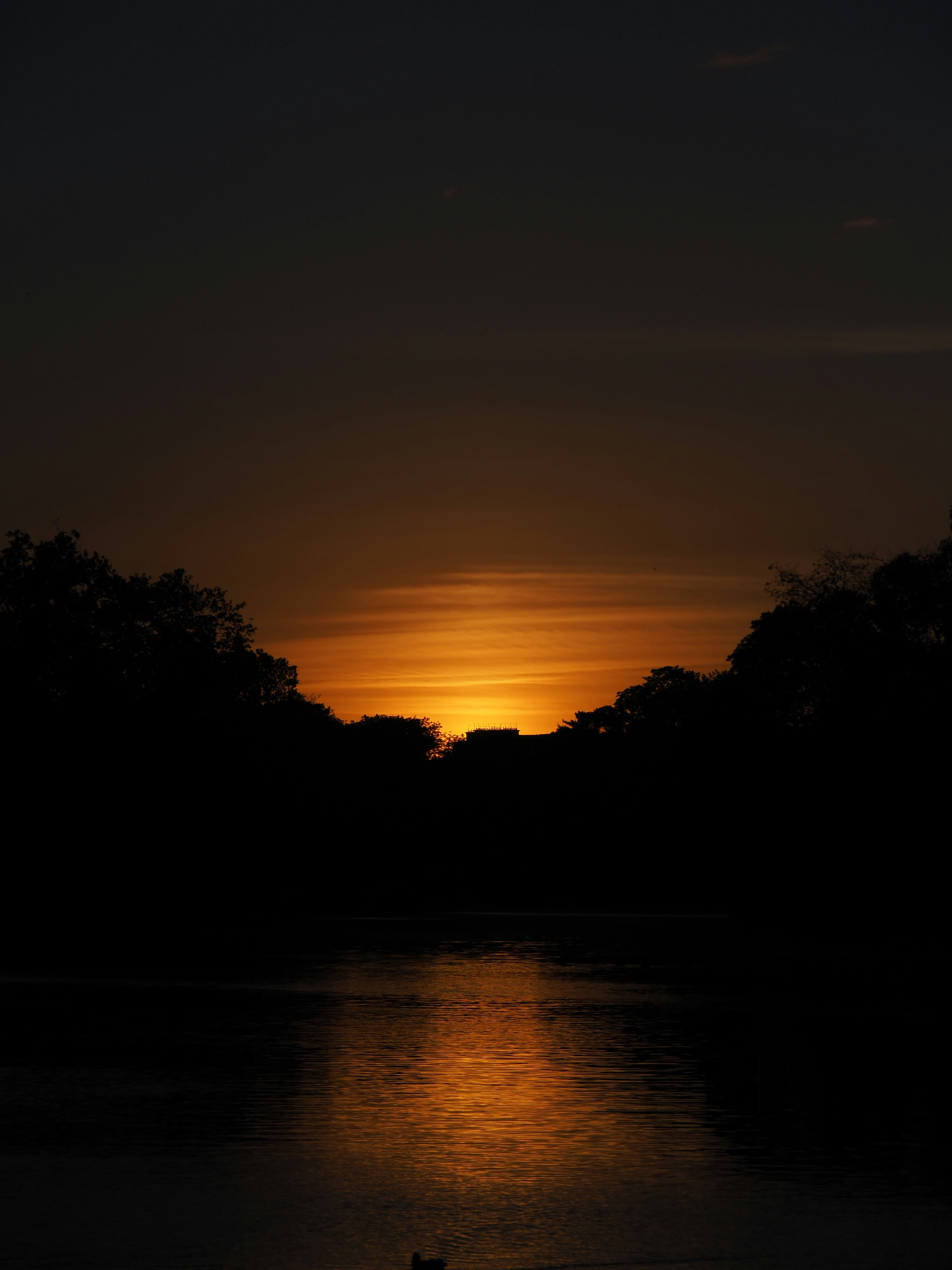 Photo by nimbus_vulpis