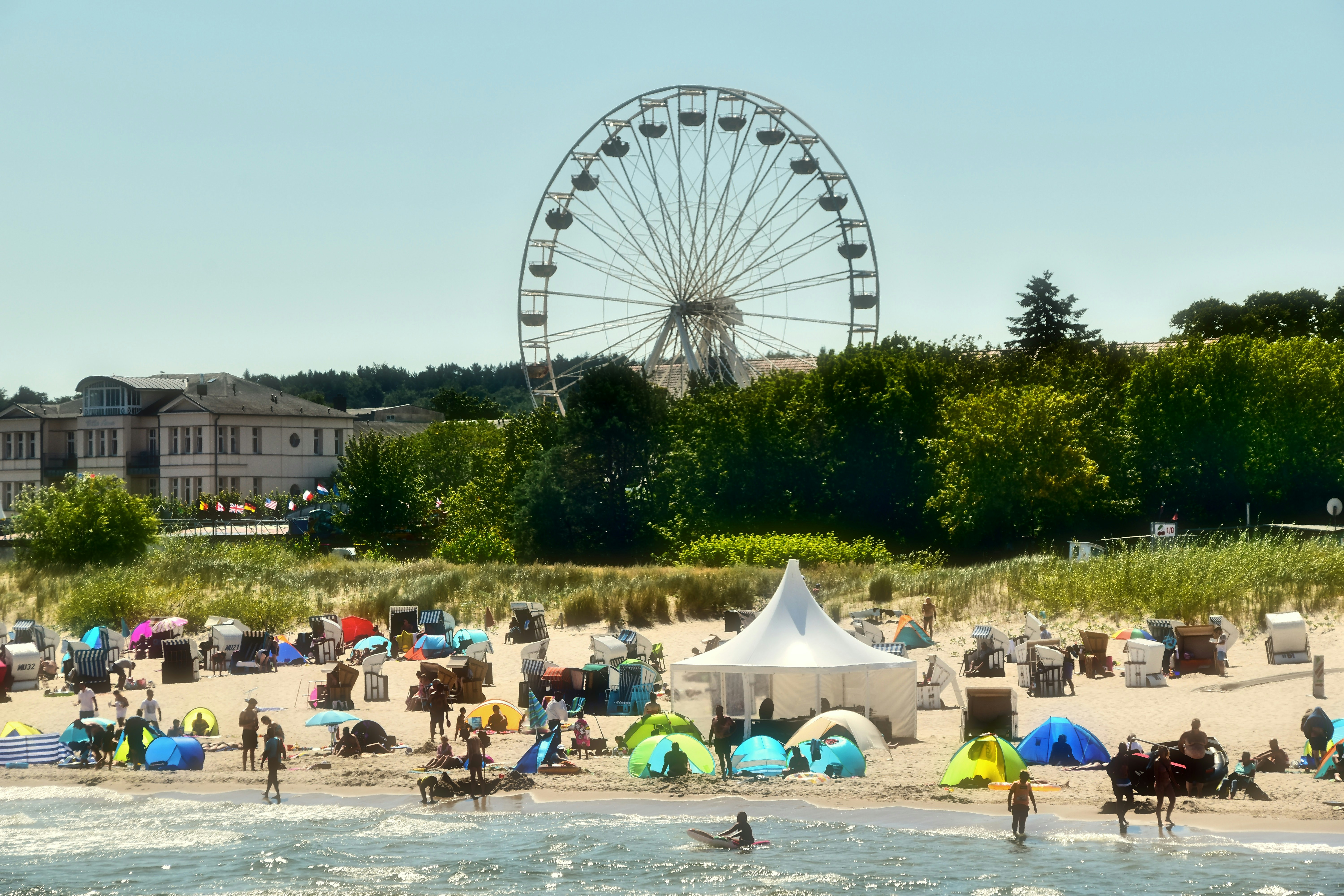 people on beach during daytime