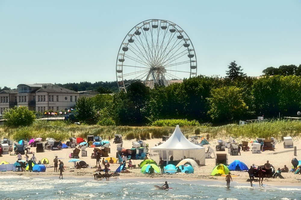 people on beach during daytime