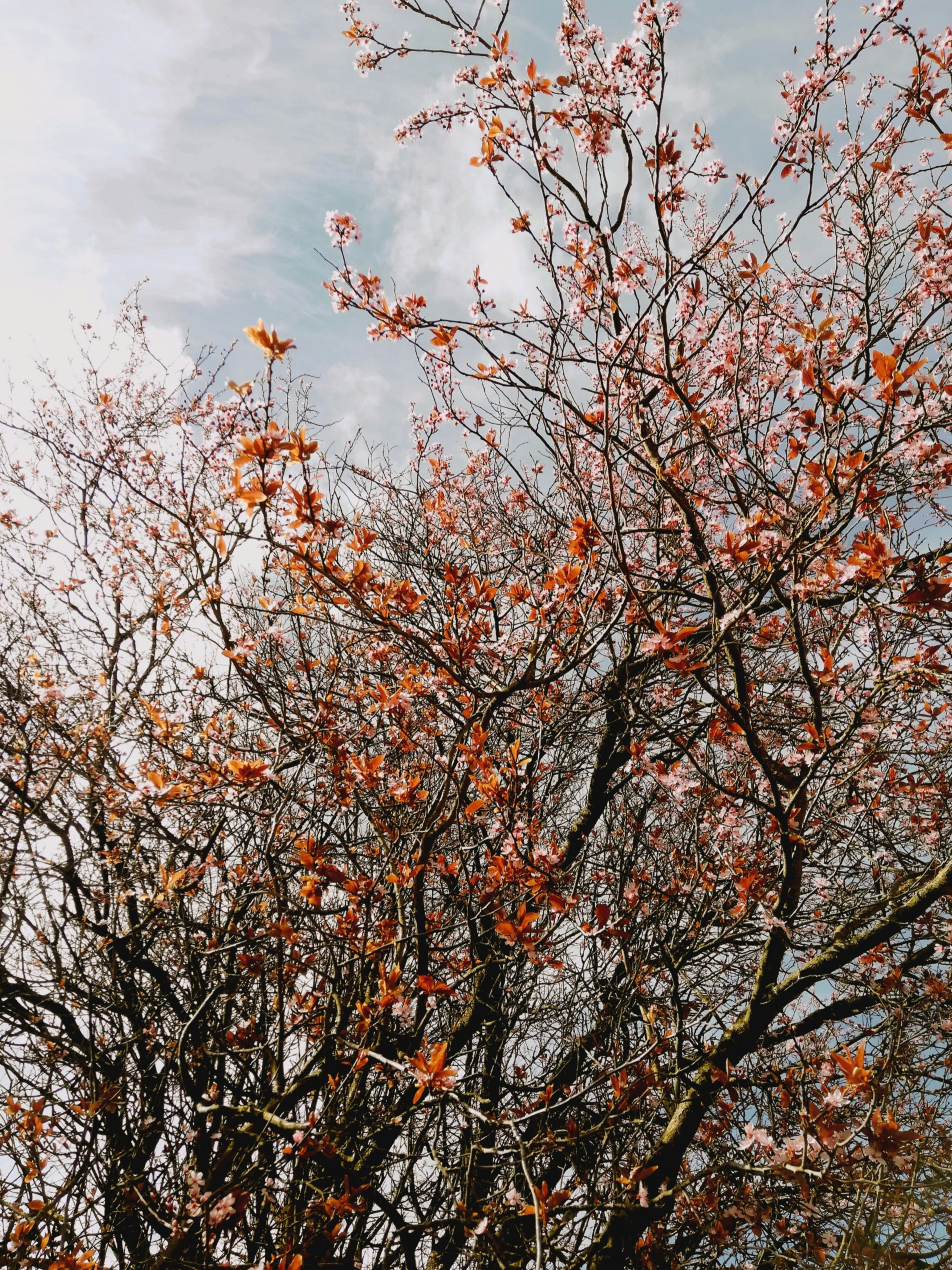 Photo by angarcie