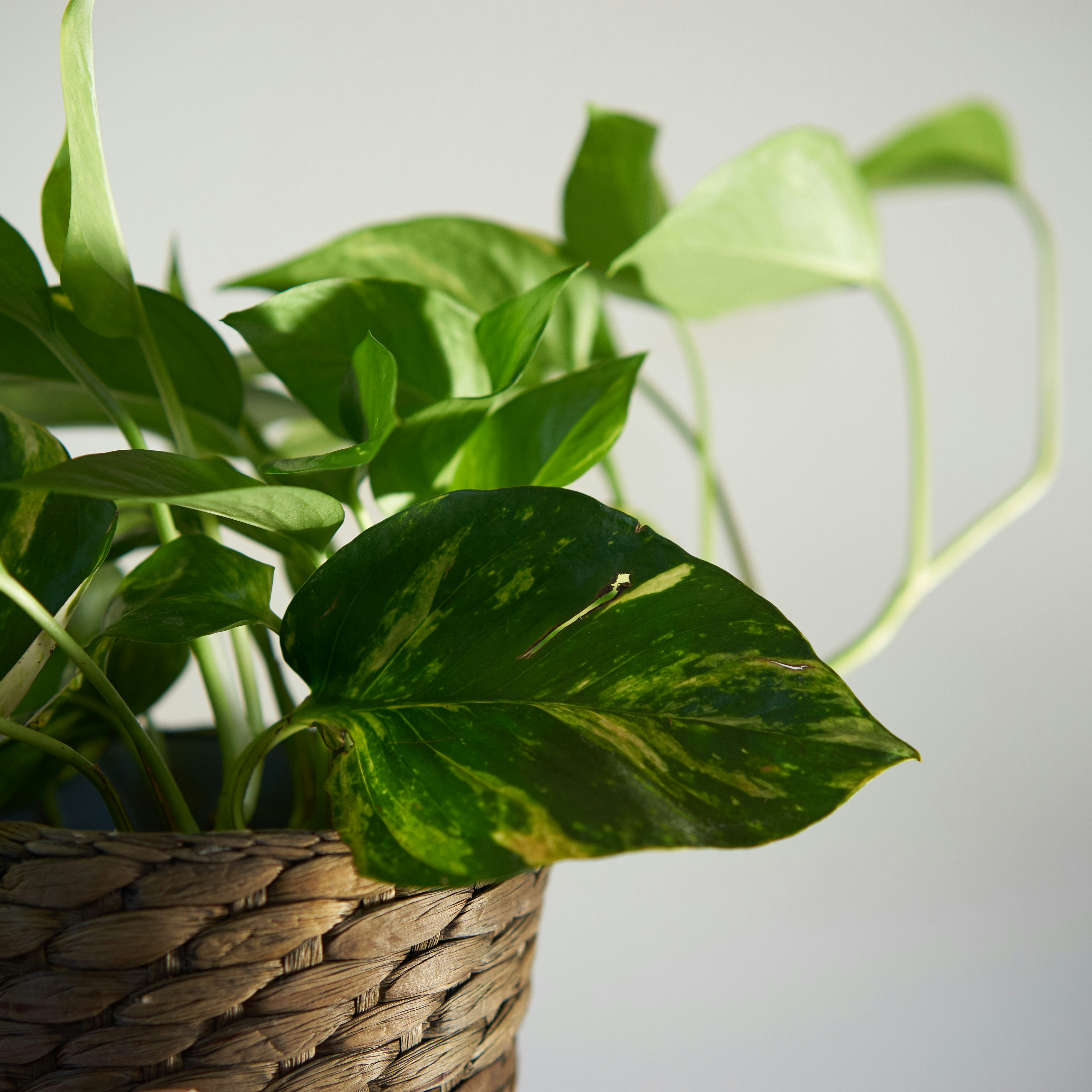 Photo by bklukaczewski