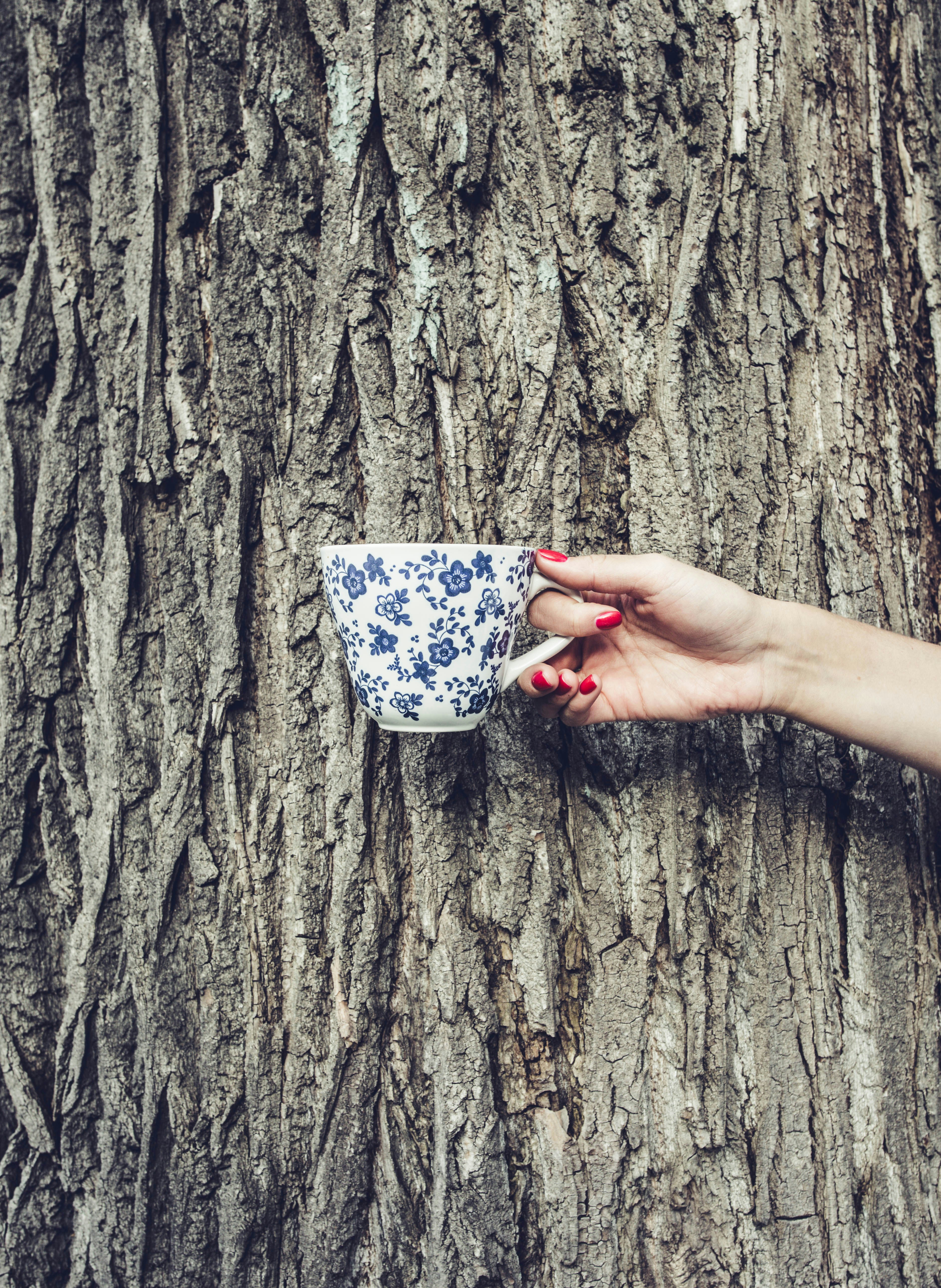 8 Mistakes to Avoid When Buying Loose Leaf Tea