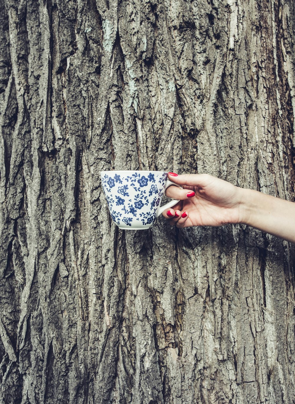 person holding white and black floral ceramic mug