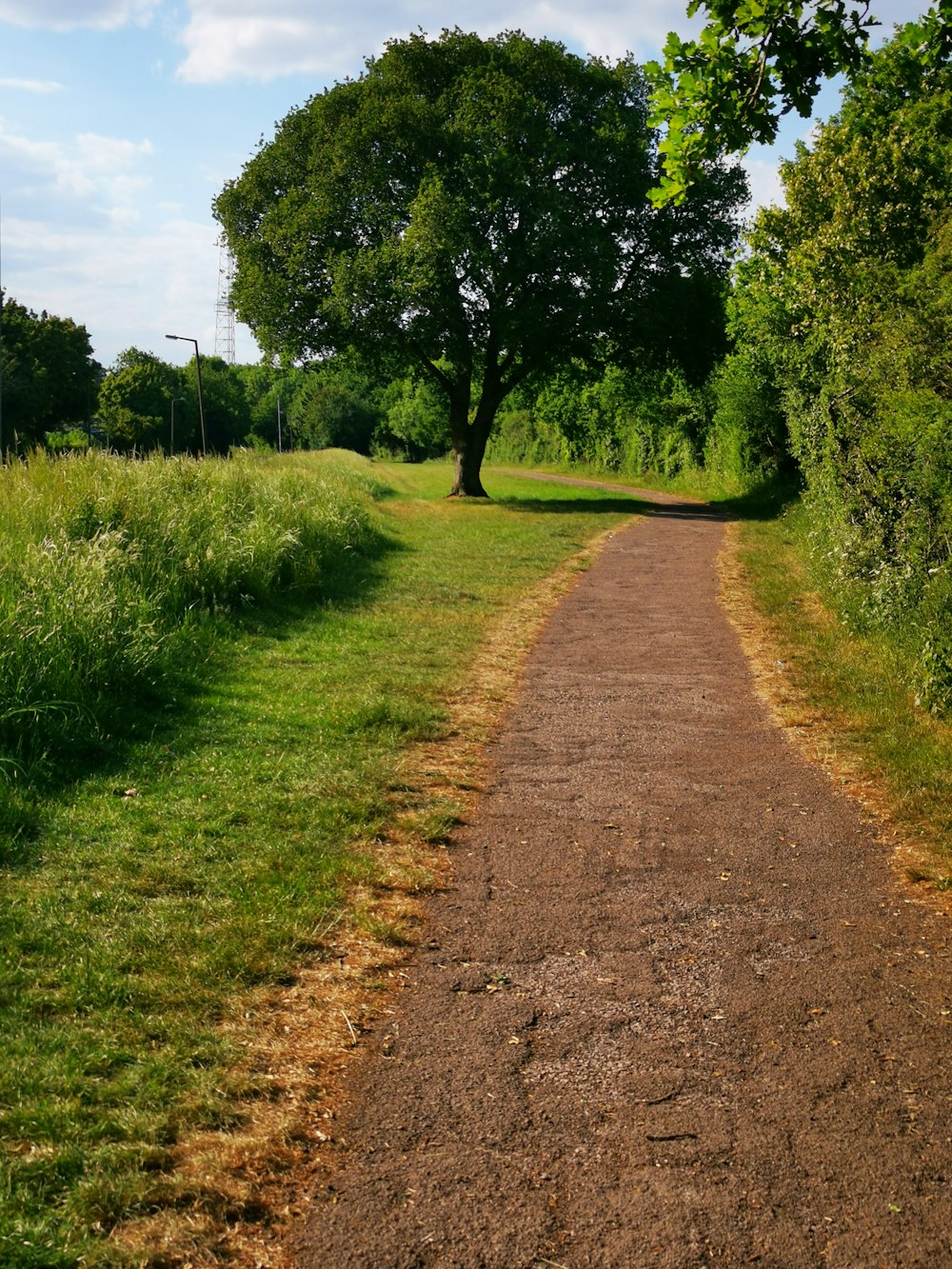 brown dirt road between green grass field during daytime