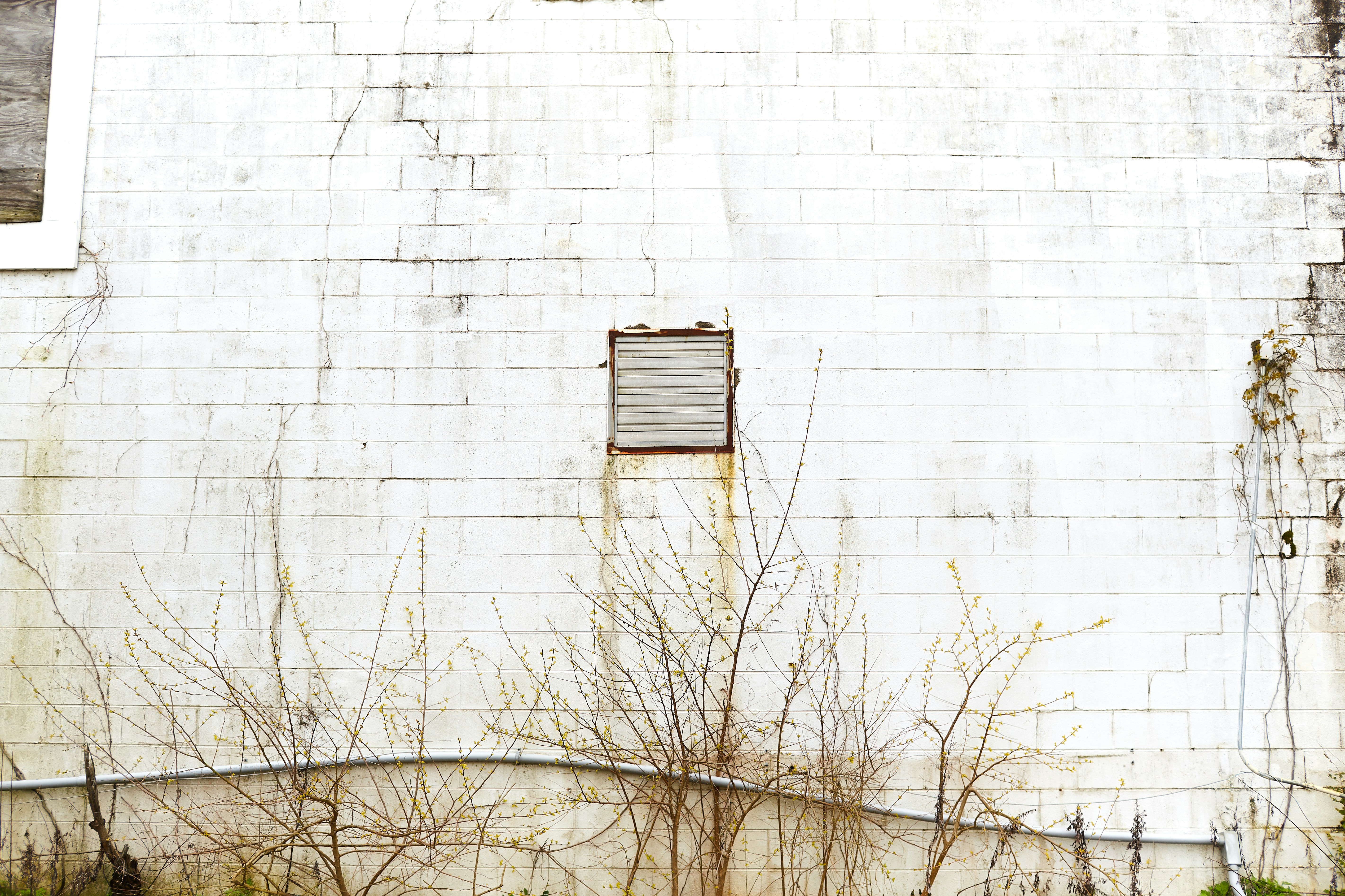 Photo by davidtoddmccarty