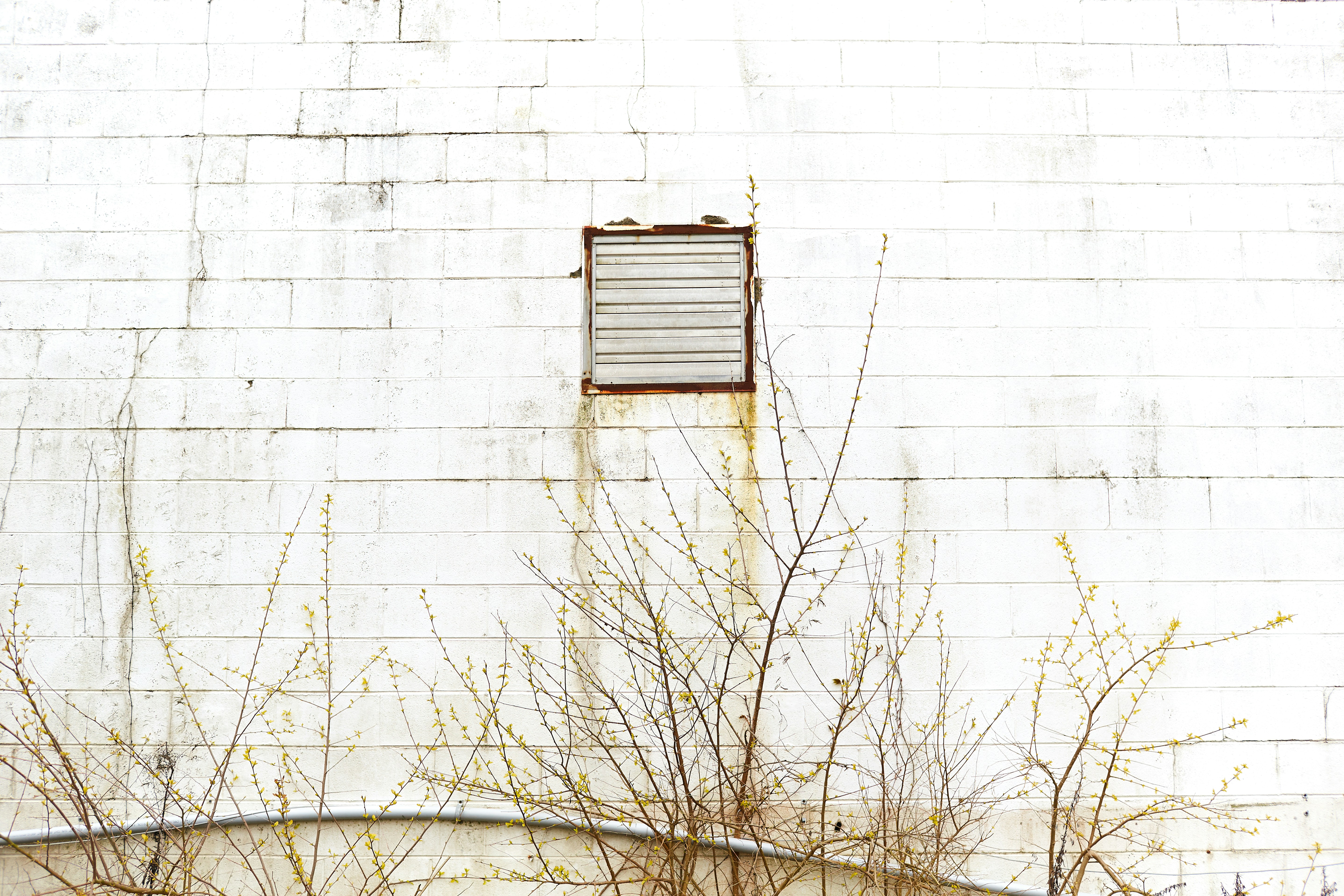Photo by davidtoddmccarty