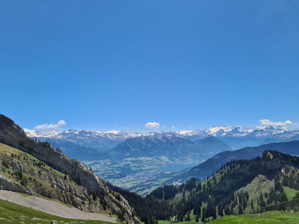 green trees on mountain under blue sky during daytime