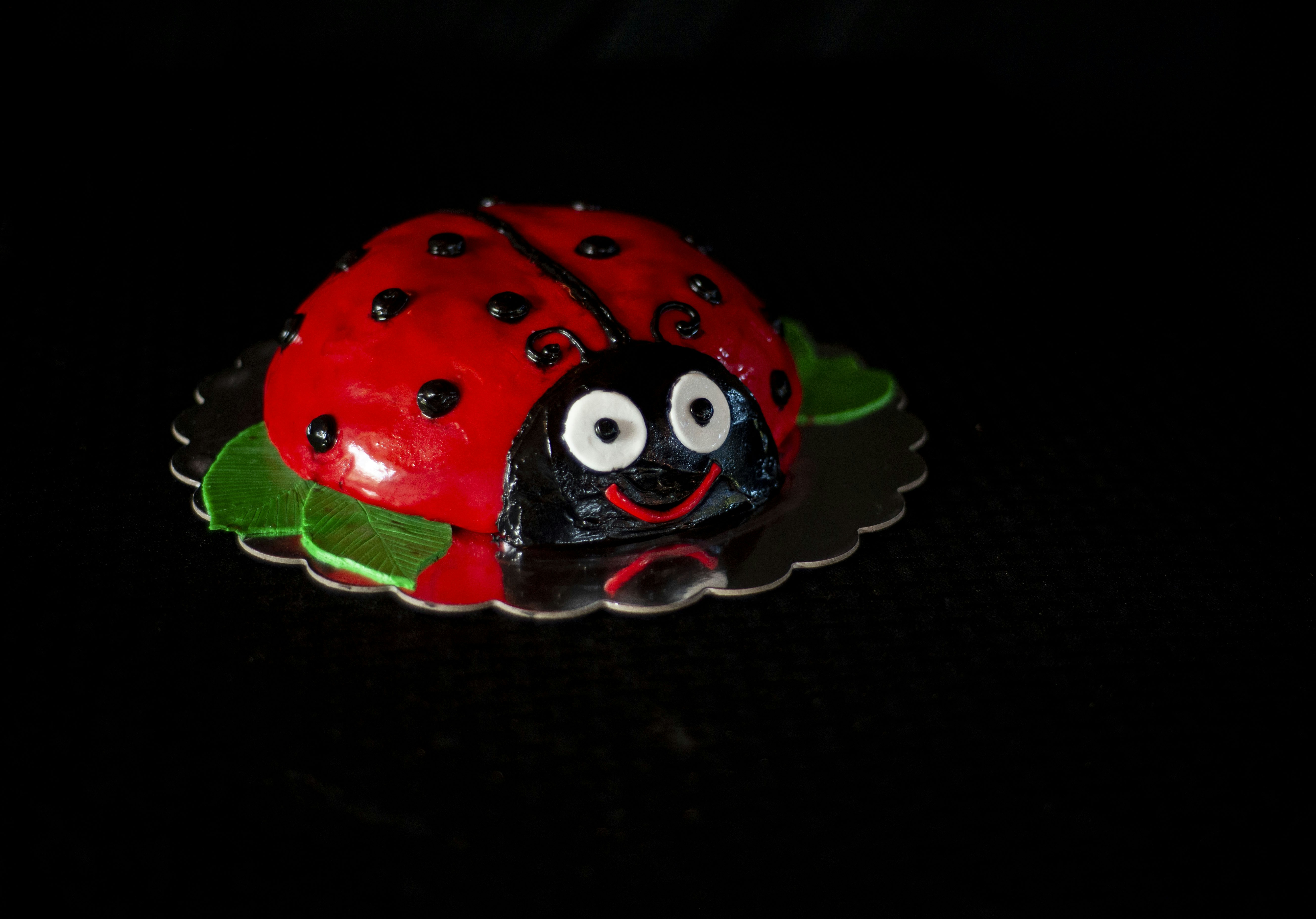 Favorina Chocolate Ladybugs German-Style Nougat, Net Wt 3.52 oz (100g).  UPC 2030 4492.  Distributed By Lidl US, LLC, 3500 S. Clark St, Arlington, VA  22202.  Product of Germany. recalled by Lidl US TRADING - Label does not specify type of tree nut contained in the product.