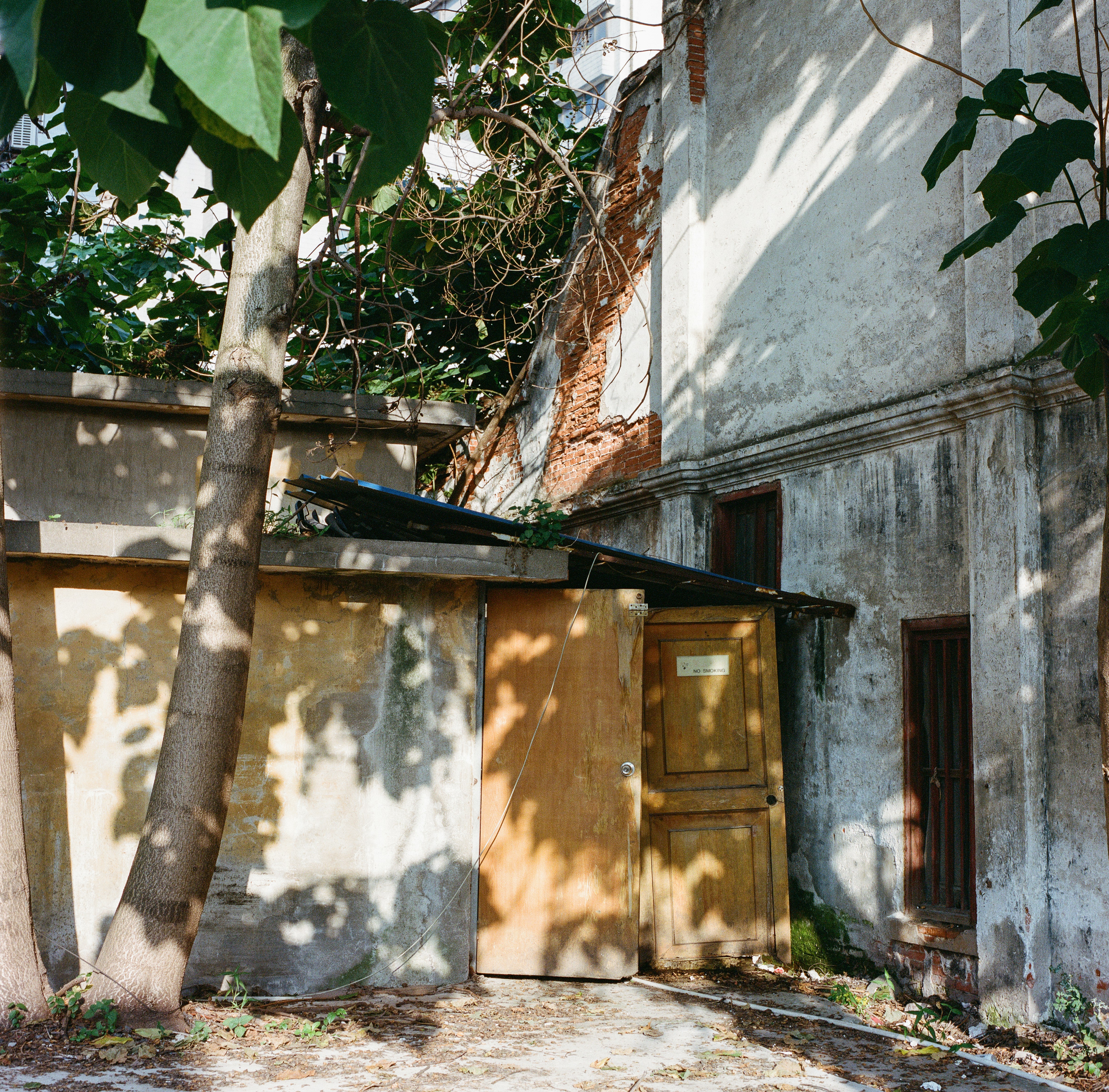 Photo by kennyzhang29