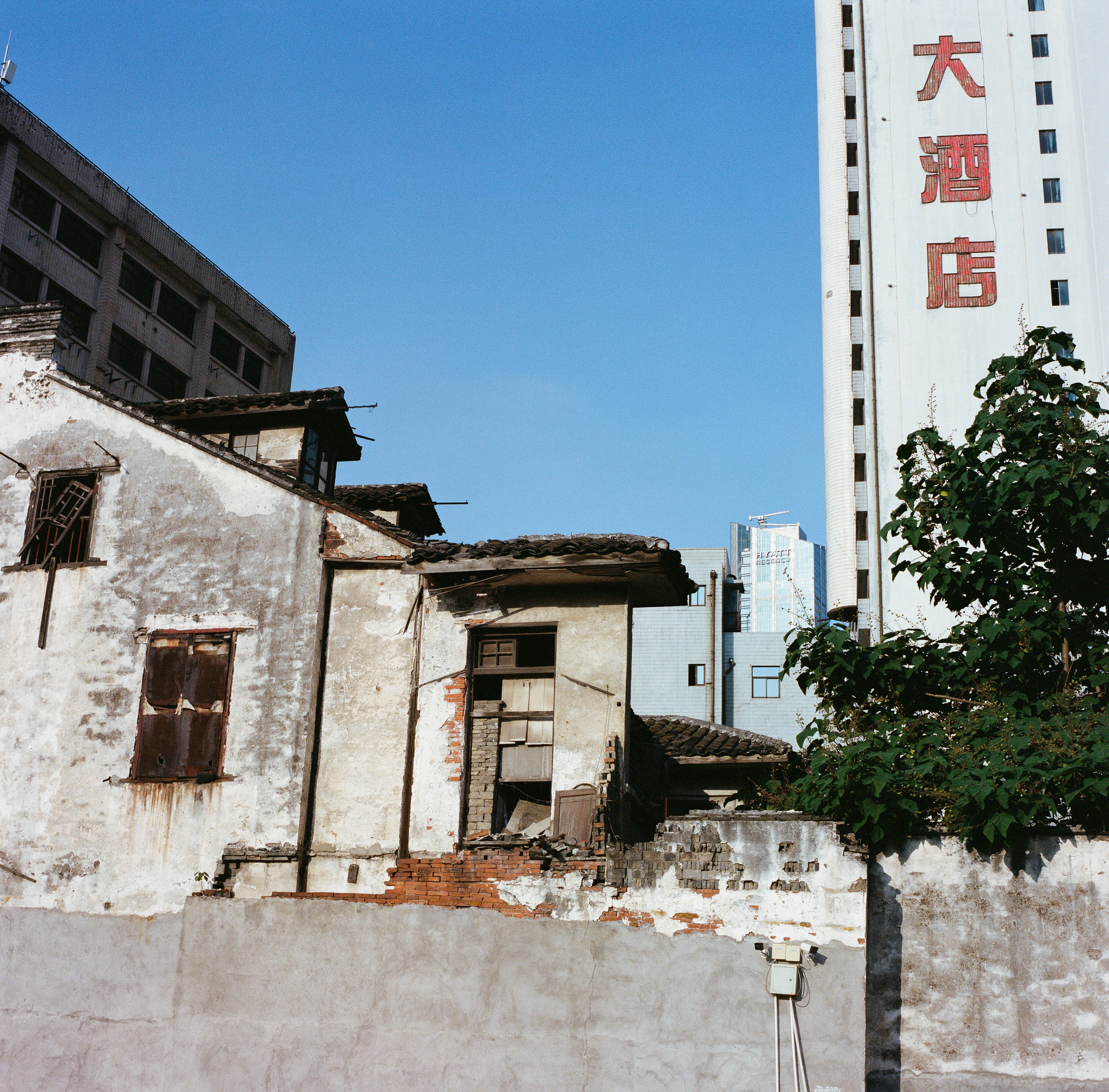 Photo by kennyzhang29