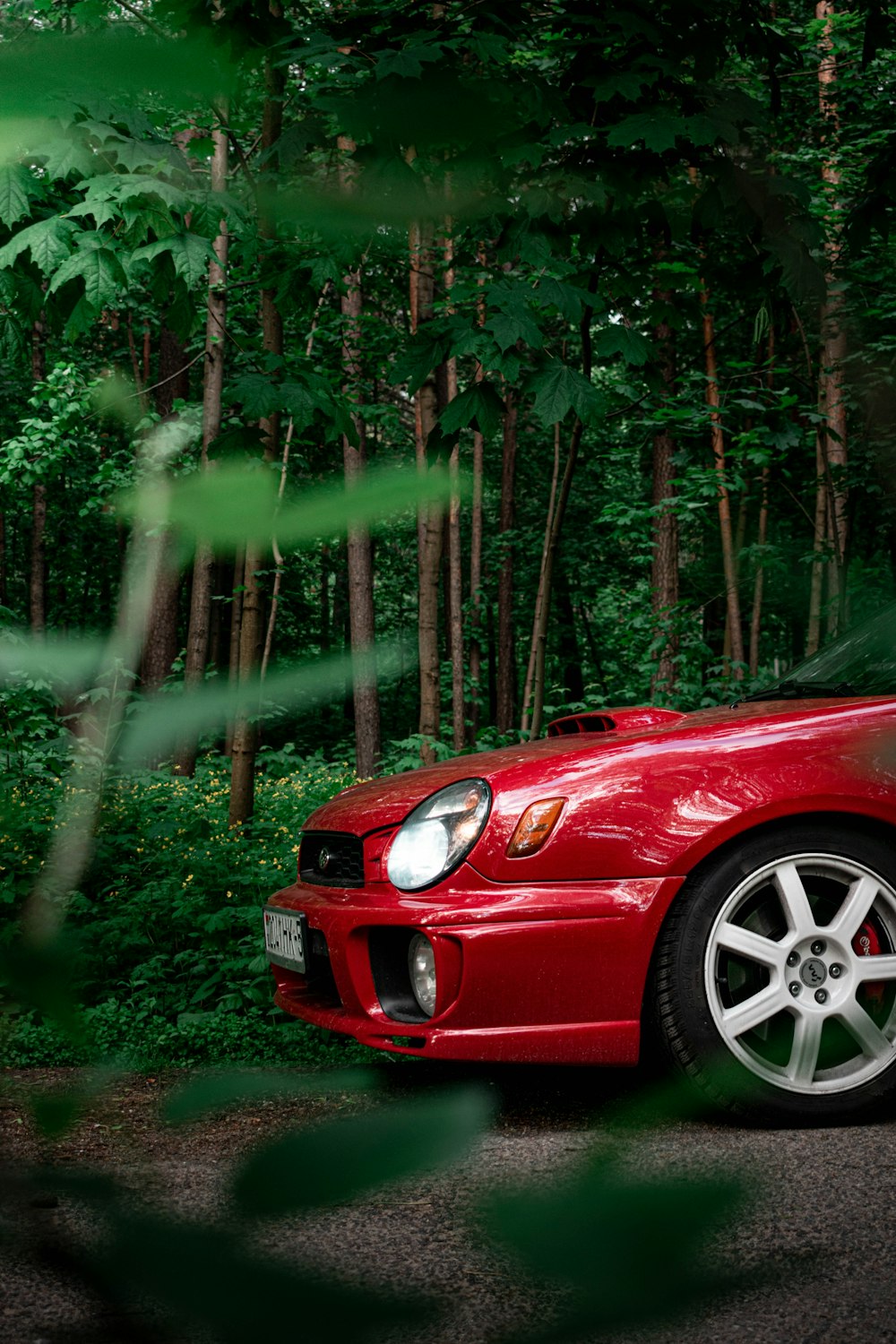 red car on forest during daytime