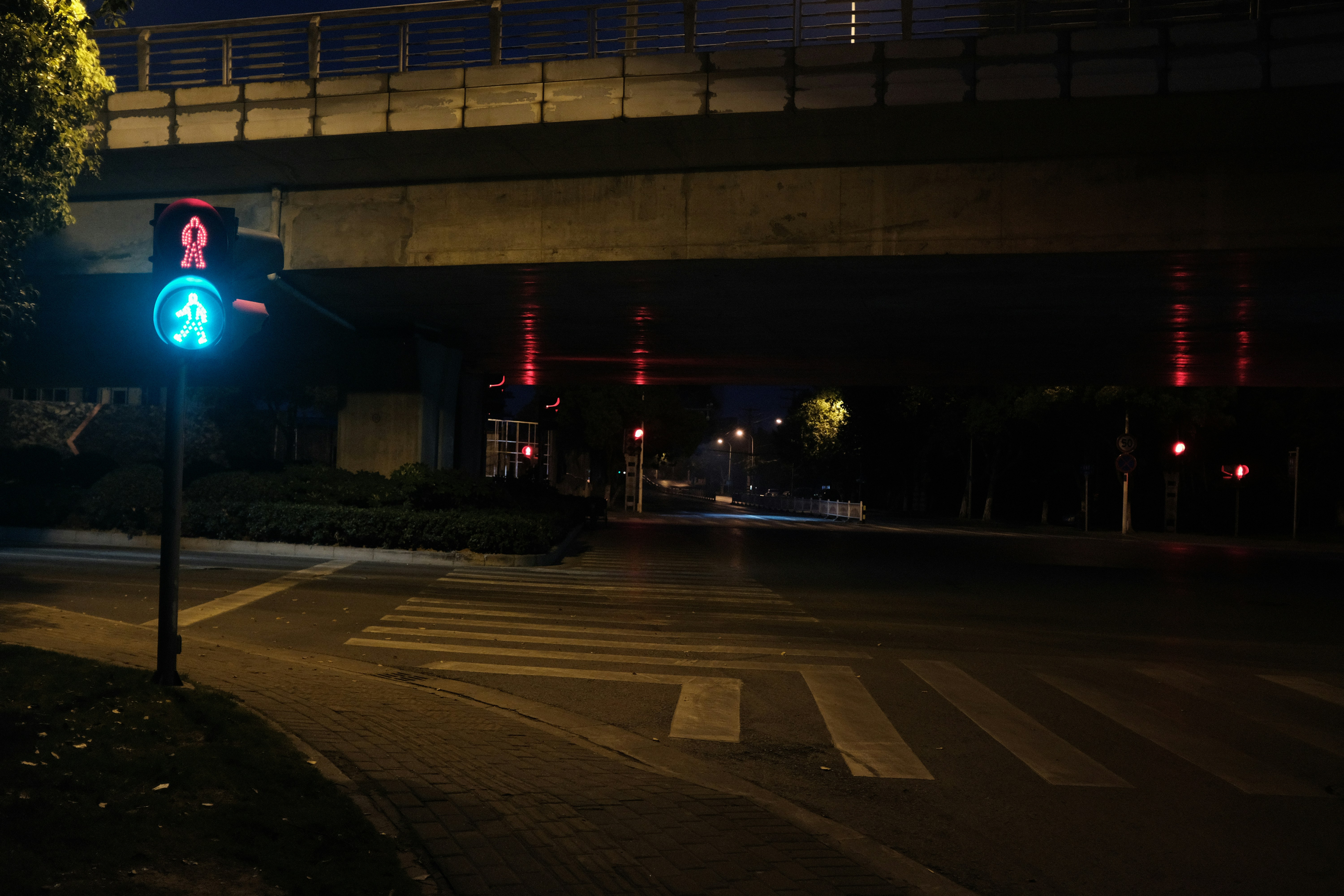 Photo by kennyzhang29