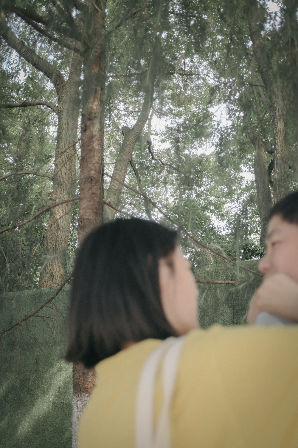 man and woman kissing near green trees during daytime