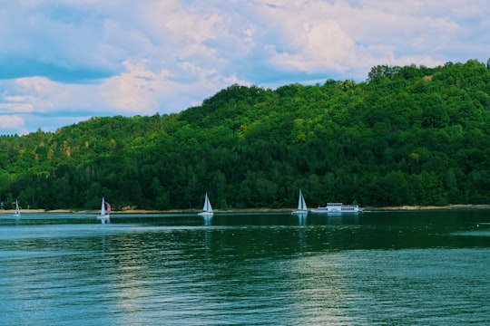 white boat on body of water near green trees during daytime in Lac de Vouglans France