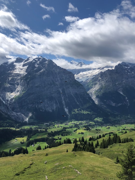 green grass field near mountain under white clouds and blue sky during daytime in Bachalpsee Switzerland