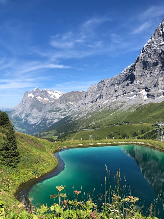 lake in the middle of green grass field and mountains under blue sky during daytime in Kleine Scheidegg Switzerland