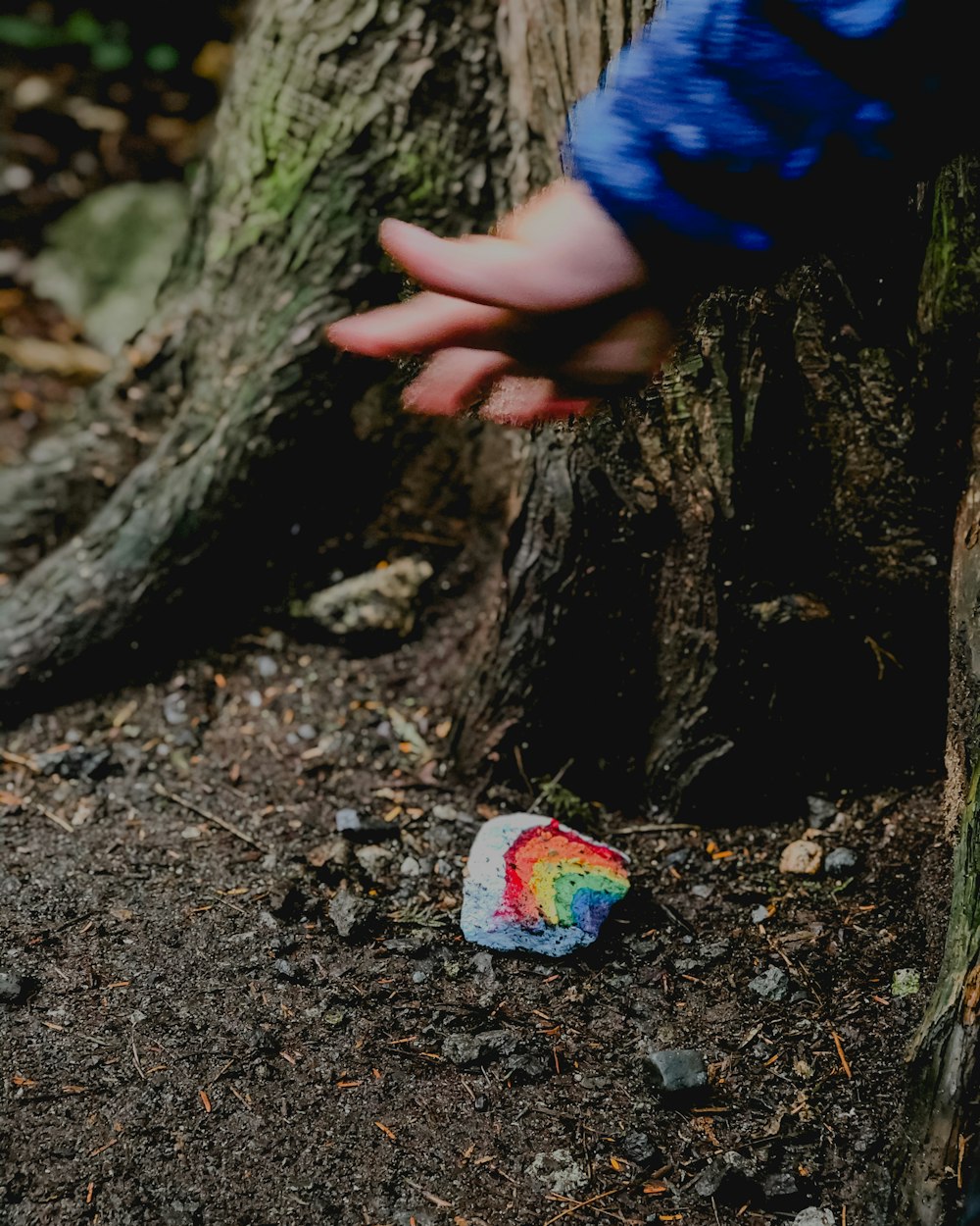 person in blue jacket holding brown tree trunk