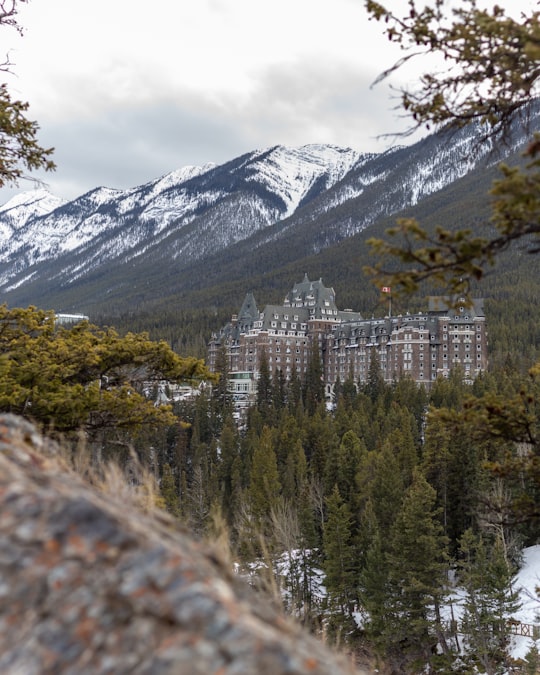 green trees near mountain during daytime in Banff Springs Hotel Canada