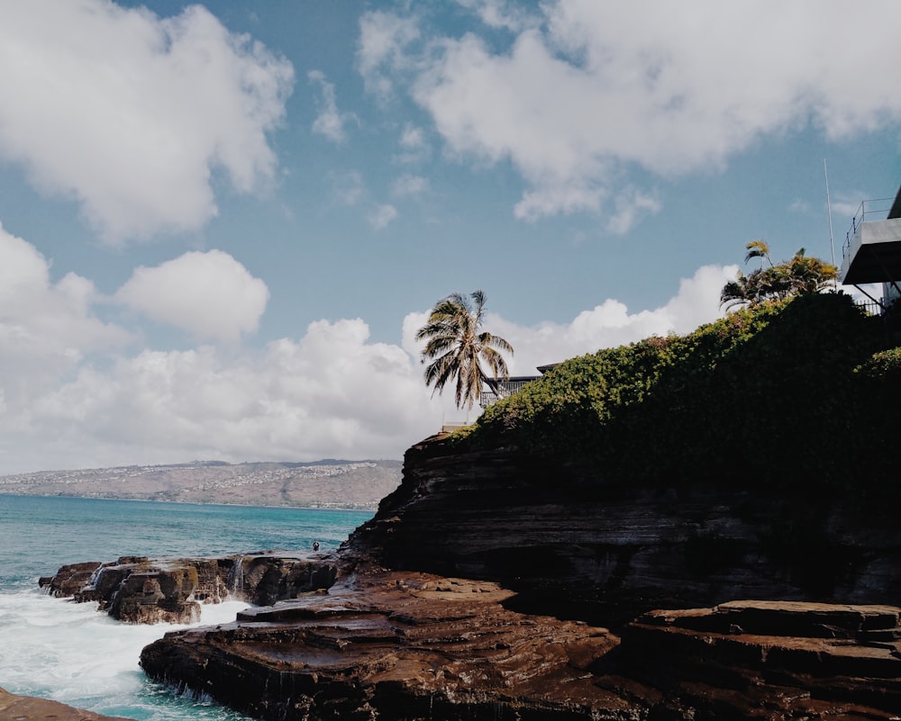 green palm tree on brown rocky mountain beside blue sea under blue and white cloudy sky