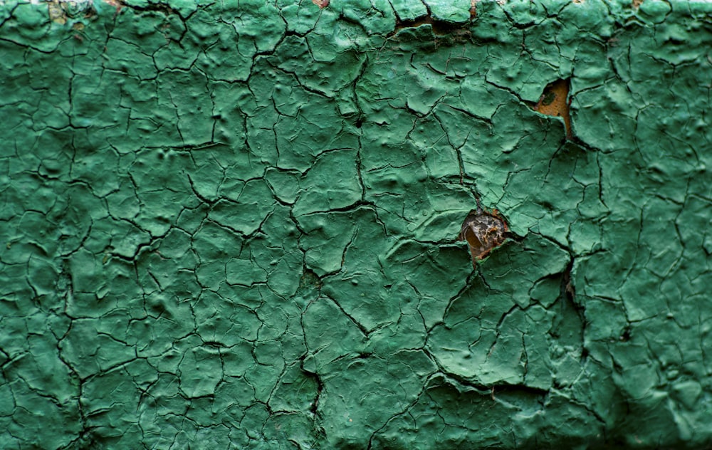 braunes getrocknetes Blatt am Gewässer