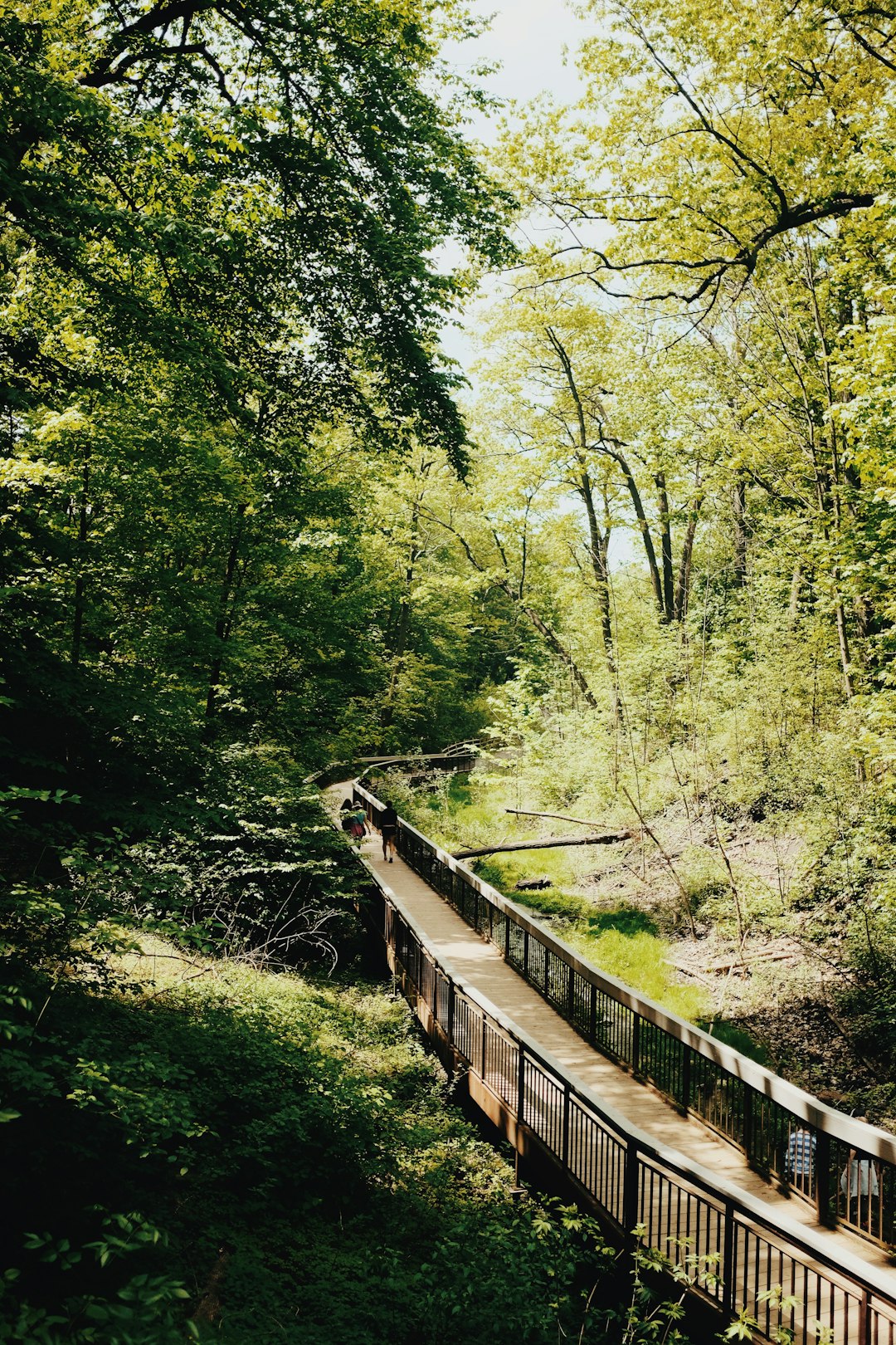 Bridge photo spot Toronto East Gwillimbury