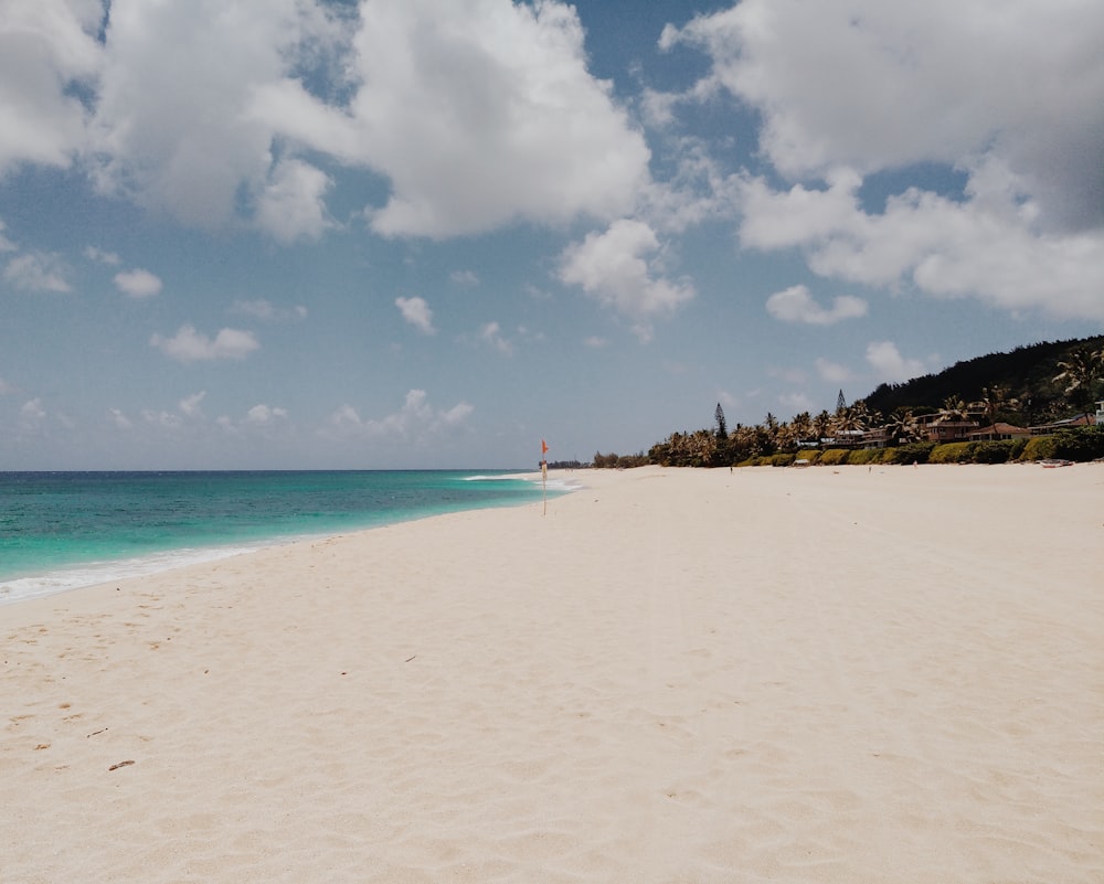 people on beach during daytime