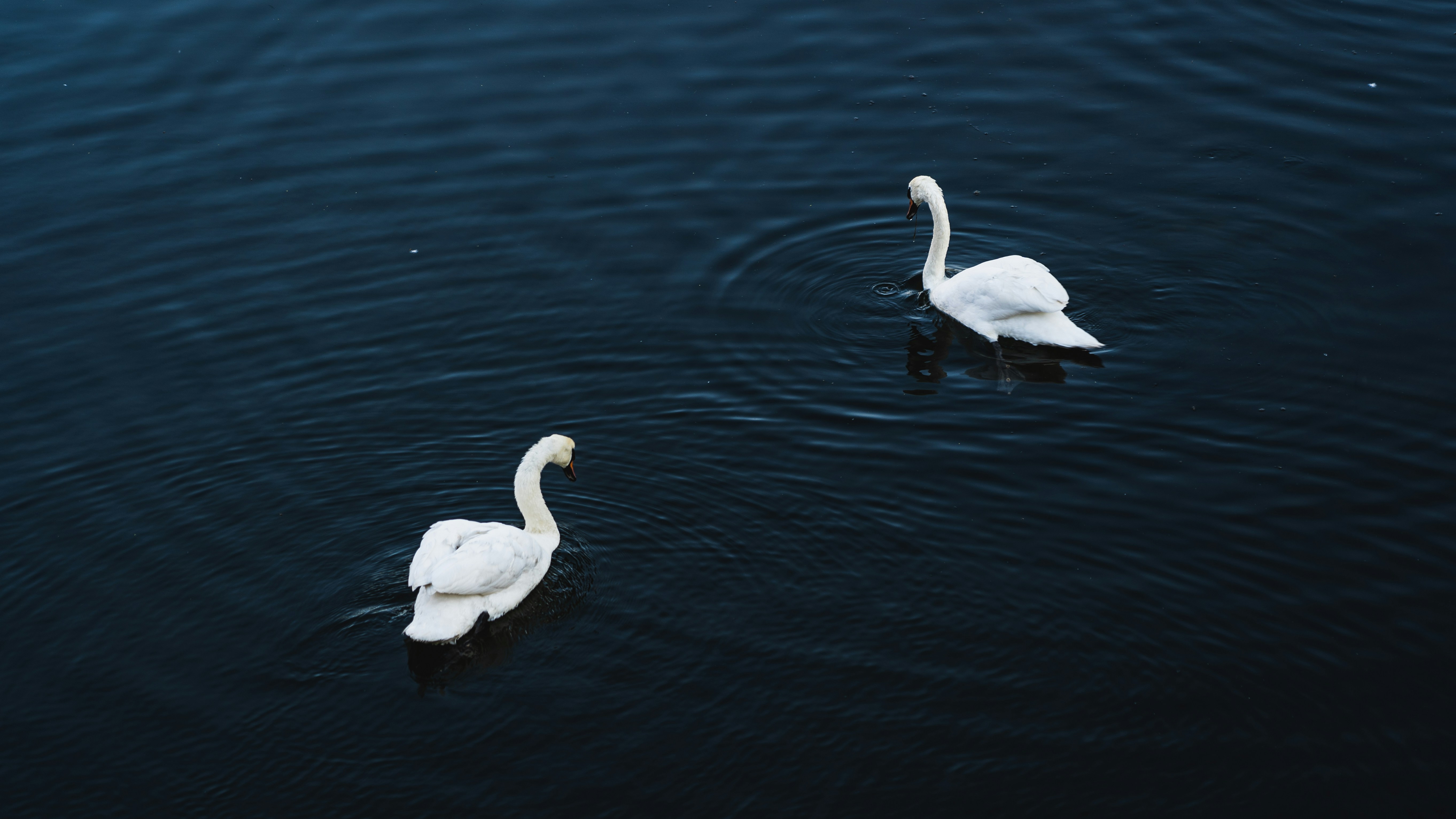 Photo by tsaichinghsuan